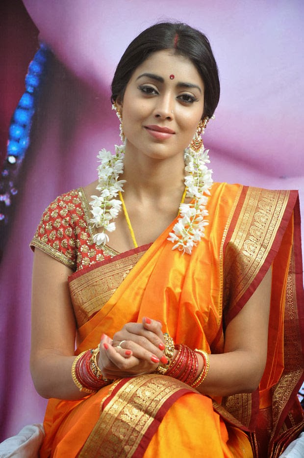 Shriya Saran In Beautiful Saree Hd Wallpaper Free - Saree Shriya Saran Hd - HD Wallpaper 