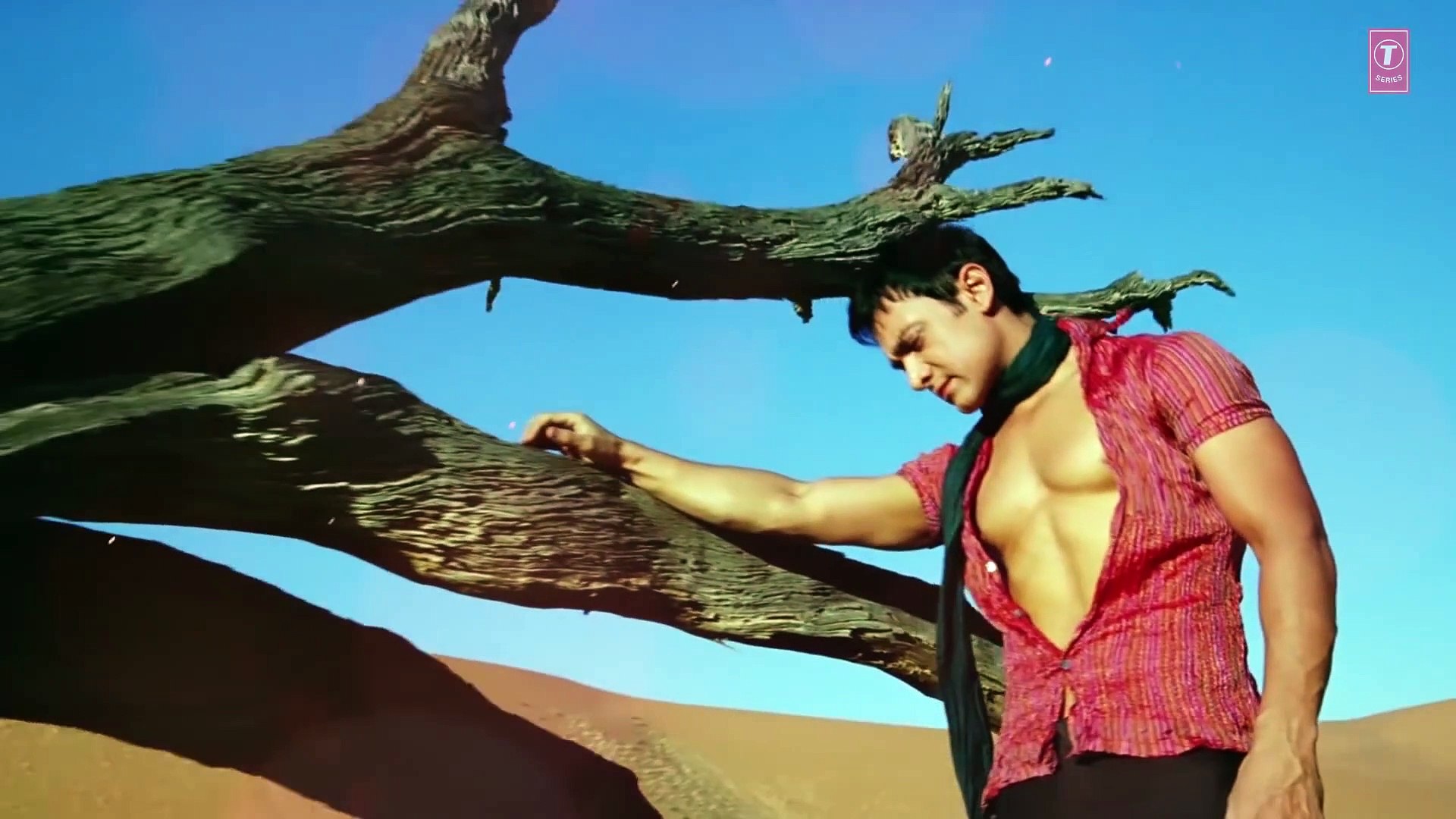 Driftwood - HD Wallpaper 