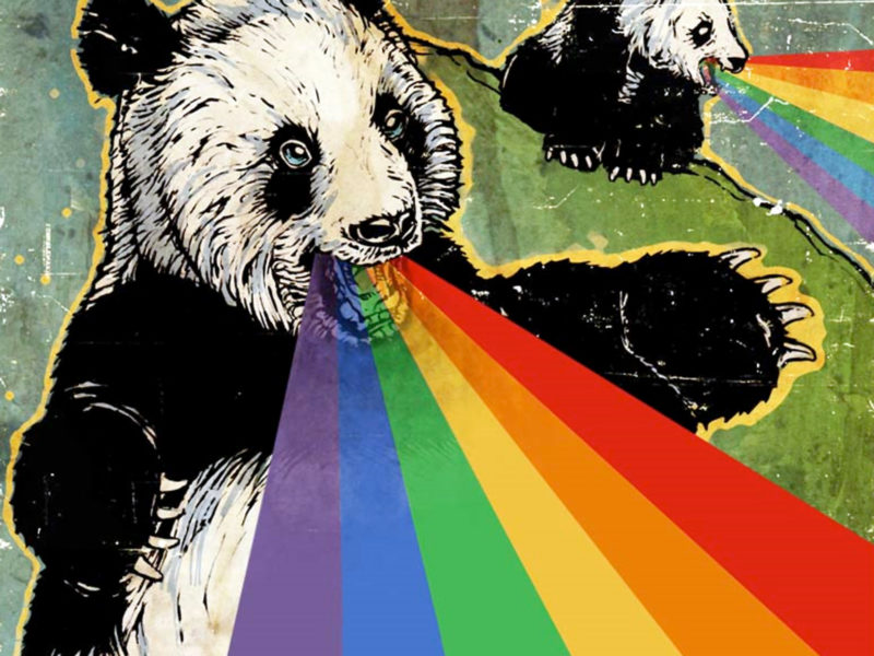 Rainbow Humor Wallpaper - Pandas Rainbows - HD Wallpaper 