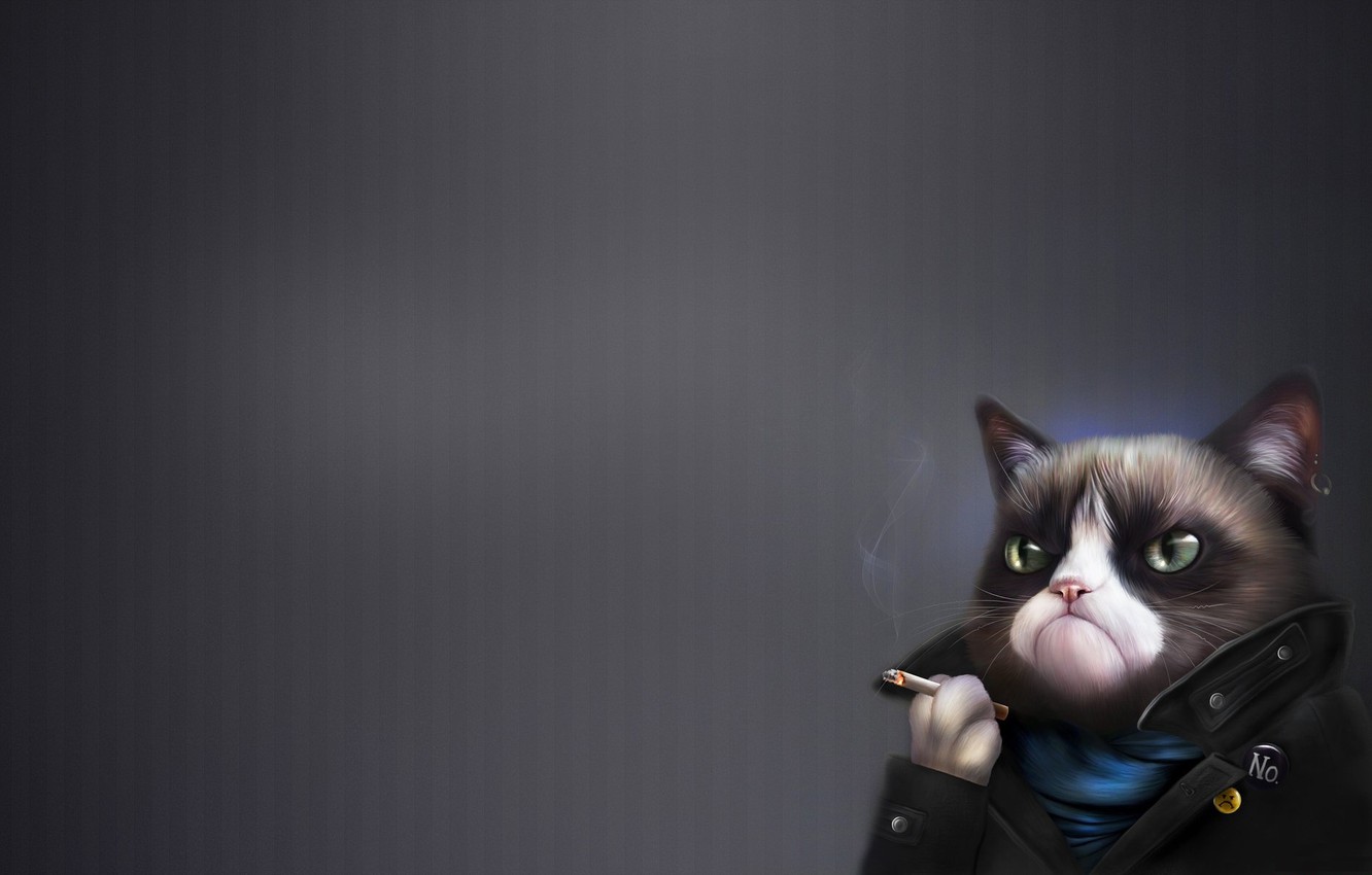 Photo Wallpaper Art, Grumpy Cat, Tardar Sauce, Grumpy - Обои На Рабочий Стол Кот - HD Wallpaper 