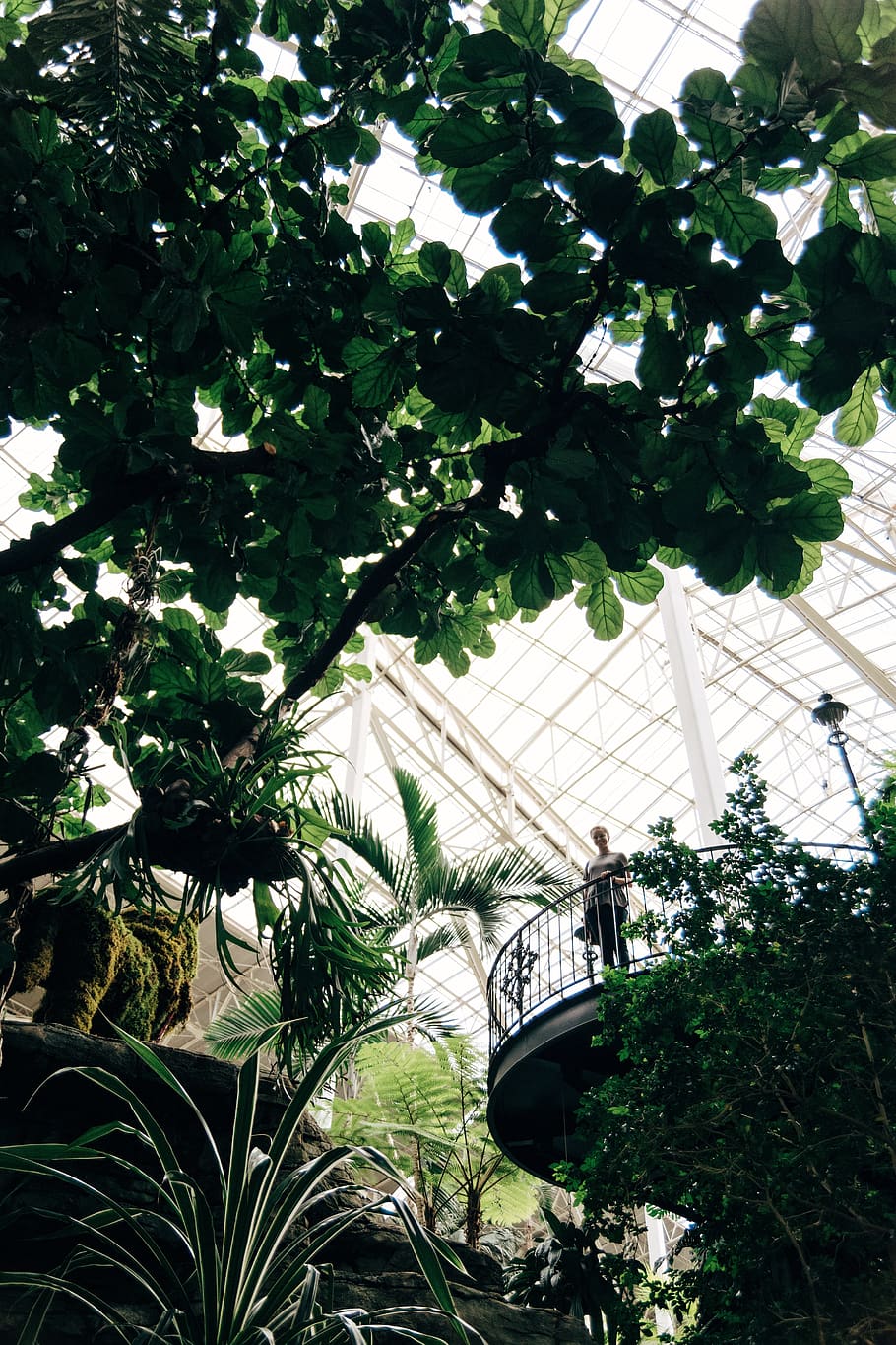 Nashville, Opryland Hotel Magnolia Entrance, Willy - HD Wallpaper 