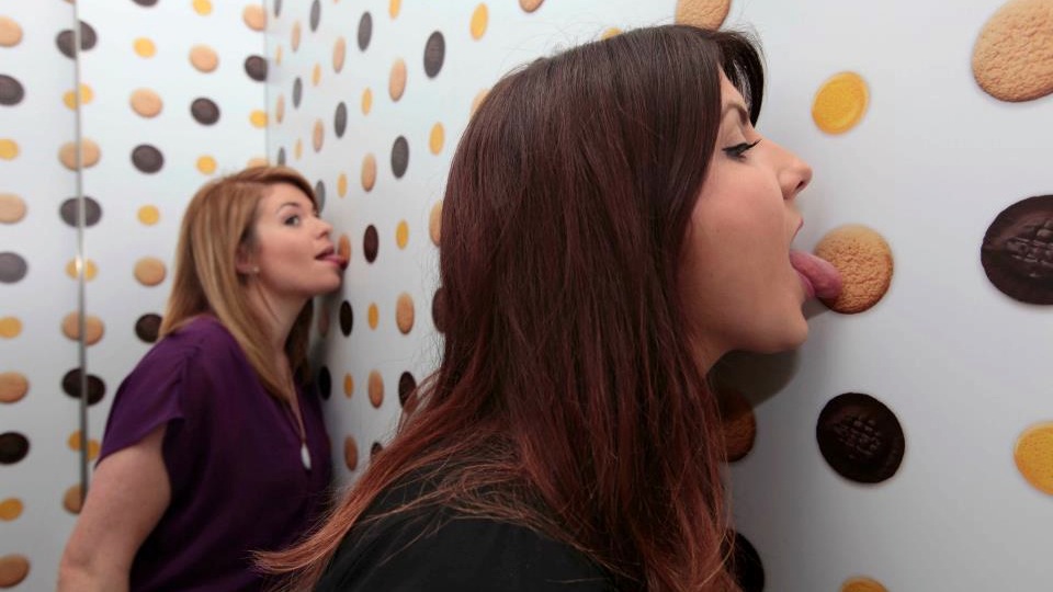 World's Most Disgusting - HD Wallpaper 