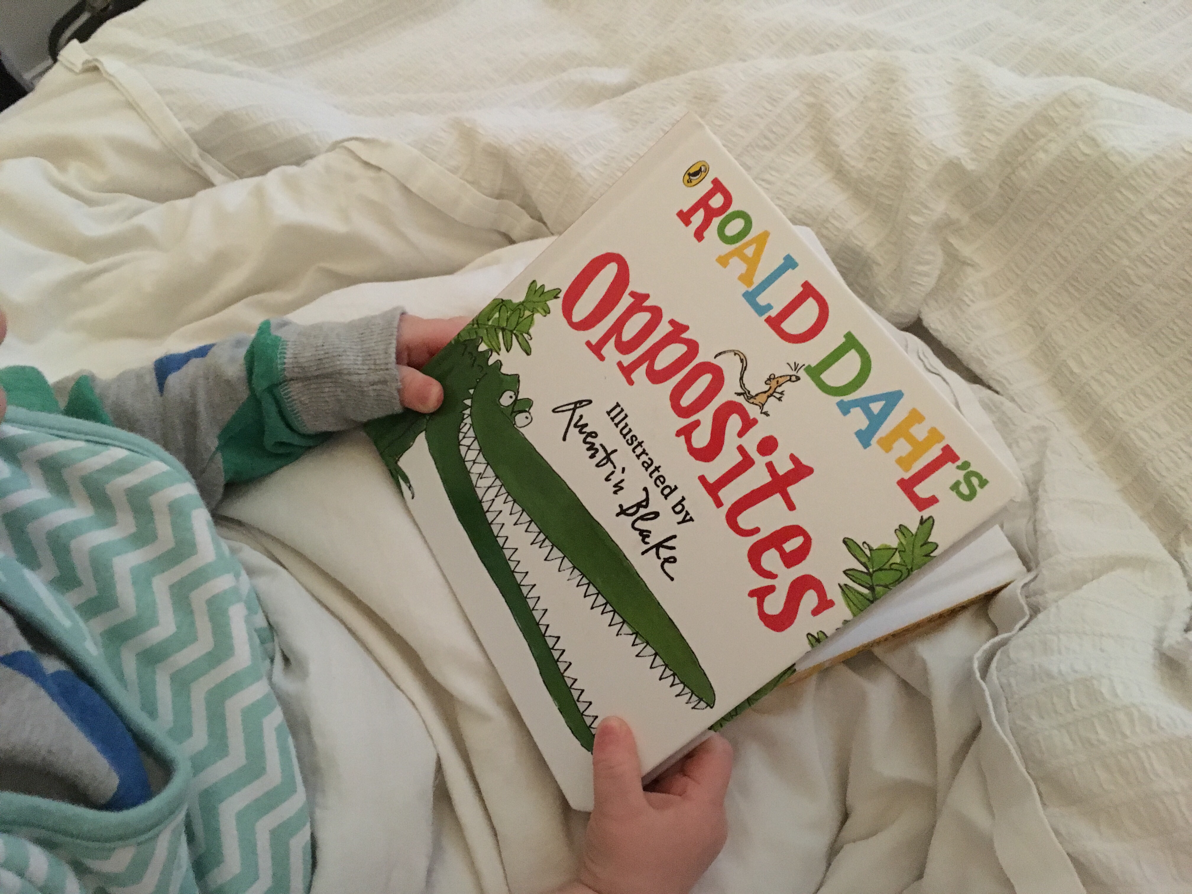 Cotton - HD Wallpaper 