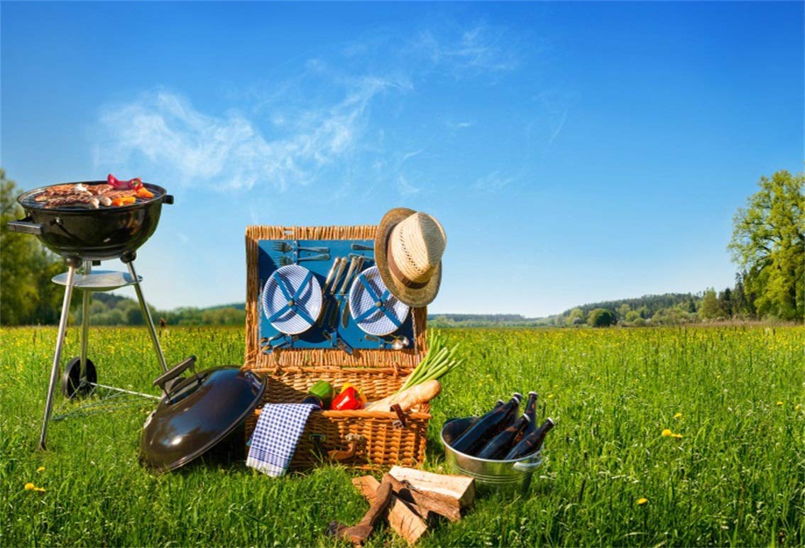 Csfoto 8x6ft Background For Barbecue Picnic Photography - Barbecue Background - HD Wallpaper 