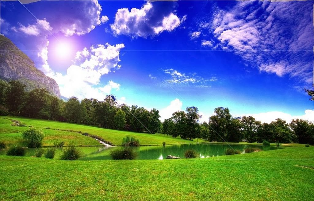 Green High Quality Nature - 1024x655 Wallpaper Green High Quality Nature - 1024x655 Wallpaper