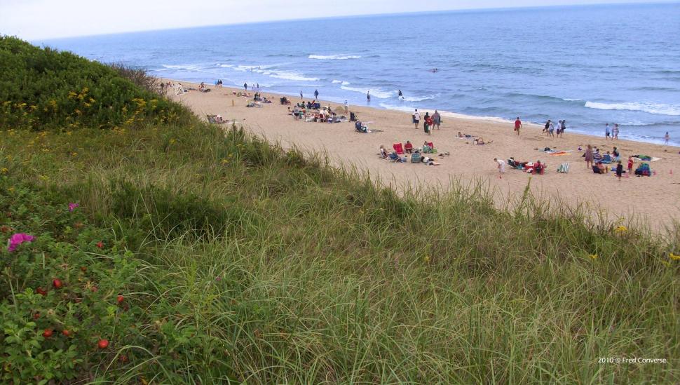 Coast Guard Beach - Beach Ridge - HD Wallpaper 