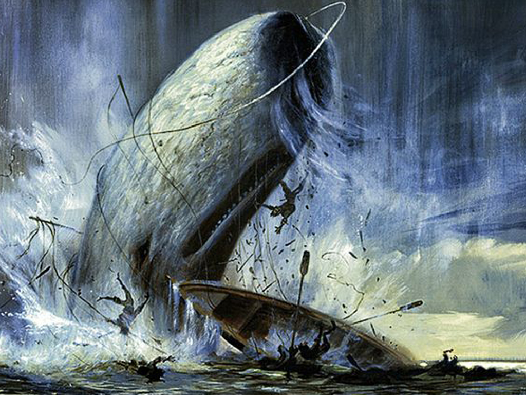 Bitcoin Whales Are Proving To Be Just As Elusive As - Moby Dick - HD Wallpaper 