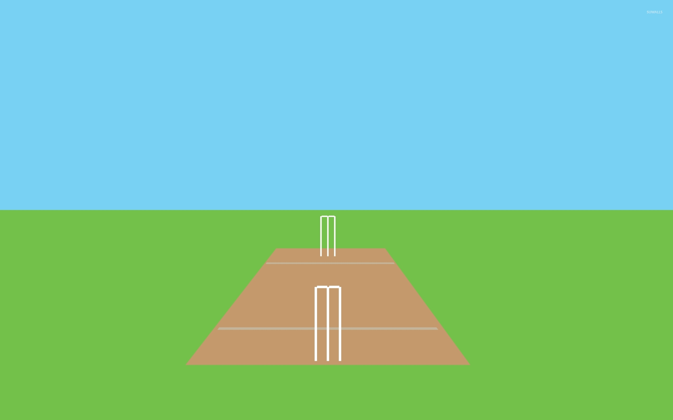 Cricket Ground Pitch Vector - HD Wallpaper 