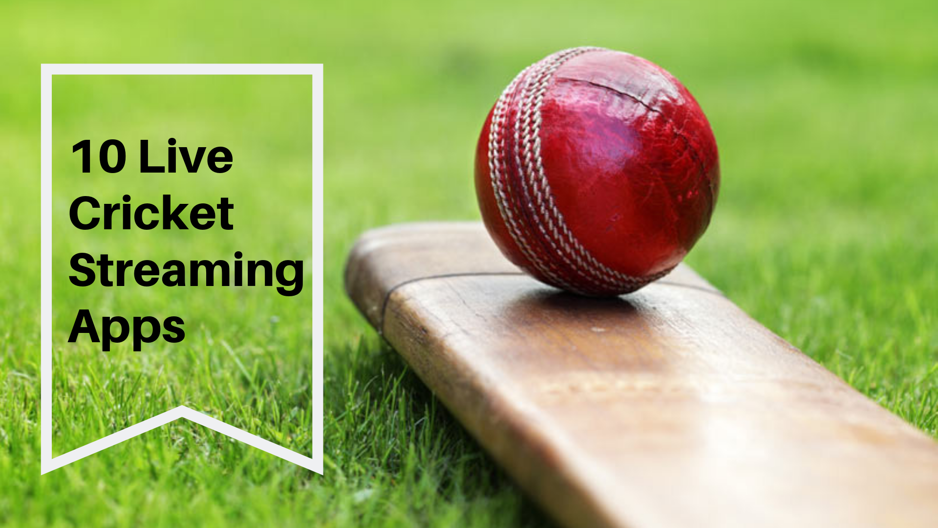 Cricket Theme Kitty Written Game - 1920x1080 Wallpaper Cricket Theme Kitty Written Game - 1920x1080 Wallpaper