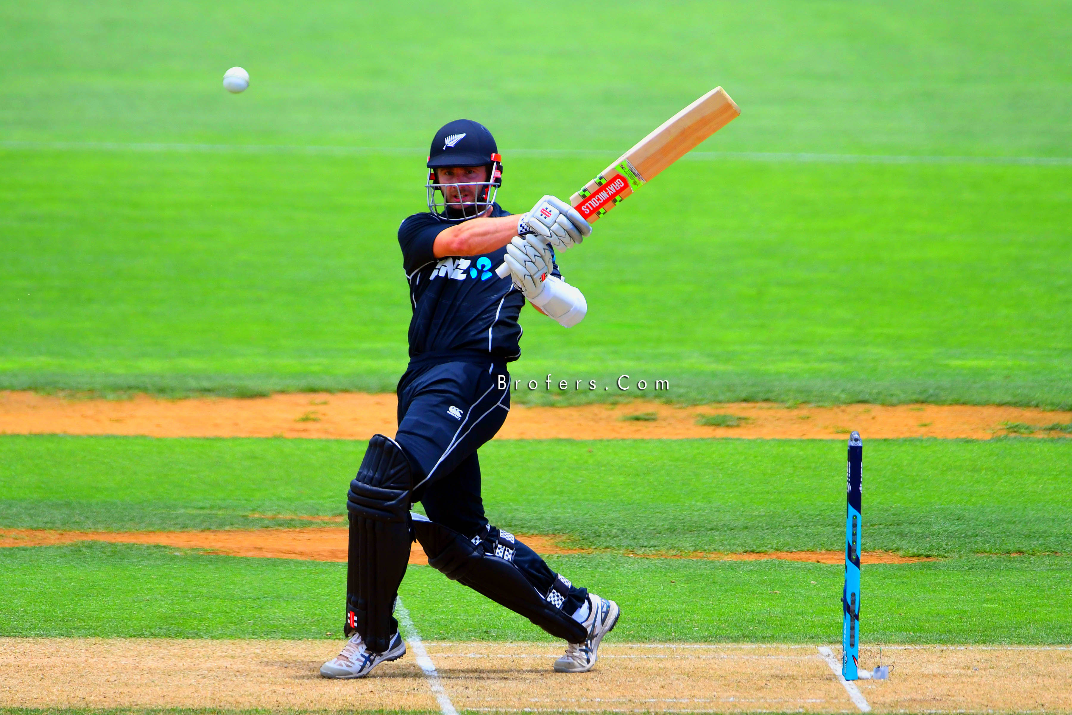 Kane Williamson - HD Wallpaper 