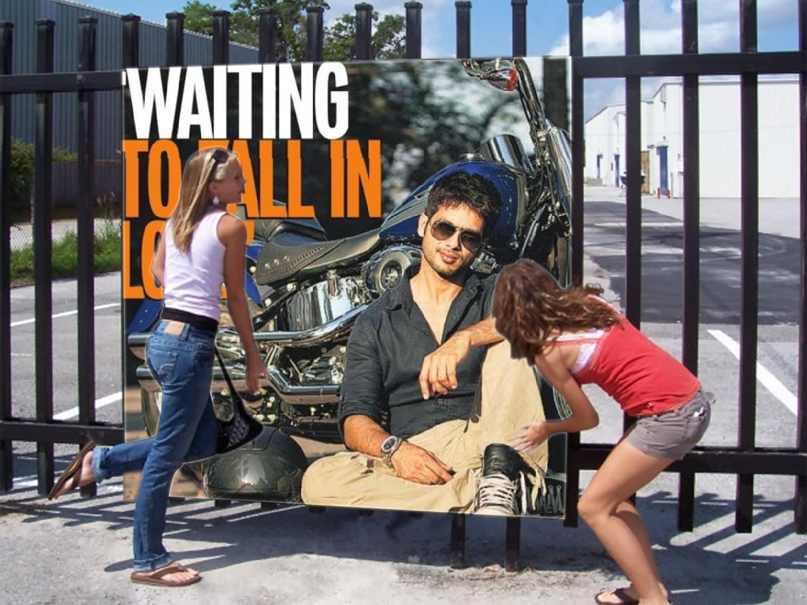 Shahid Kapoor I Love U - Mdn Public School Kalayat Kaithal Logo - HD Wallpaper 