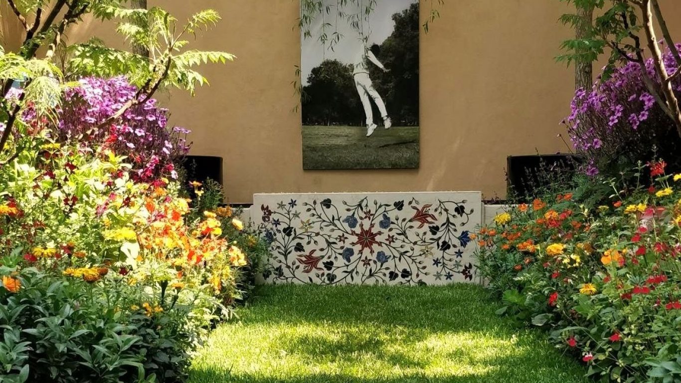 Buddleia - HD Wallpaper 