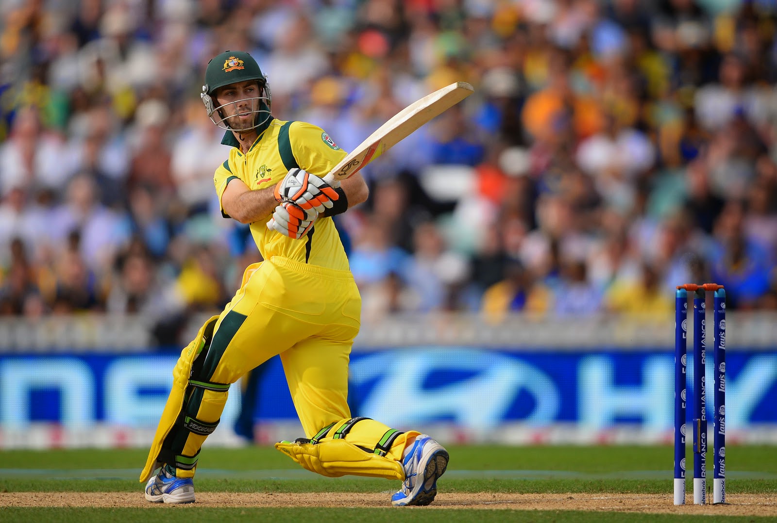 3d Cricket Wallpaper - 1600x1078 Wallpaper 3d Cricket Wallpaper - 1600x1078 Wallpaper