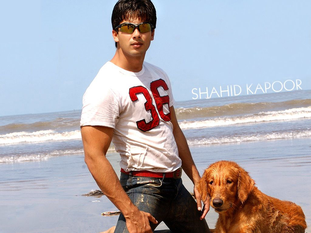 Shahid Kapoor Full Hd 4k - HD Wallpaper 