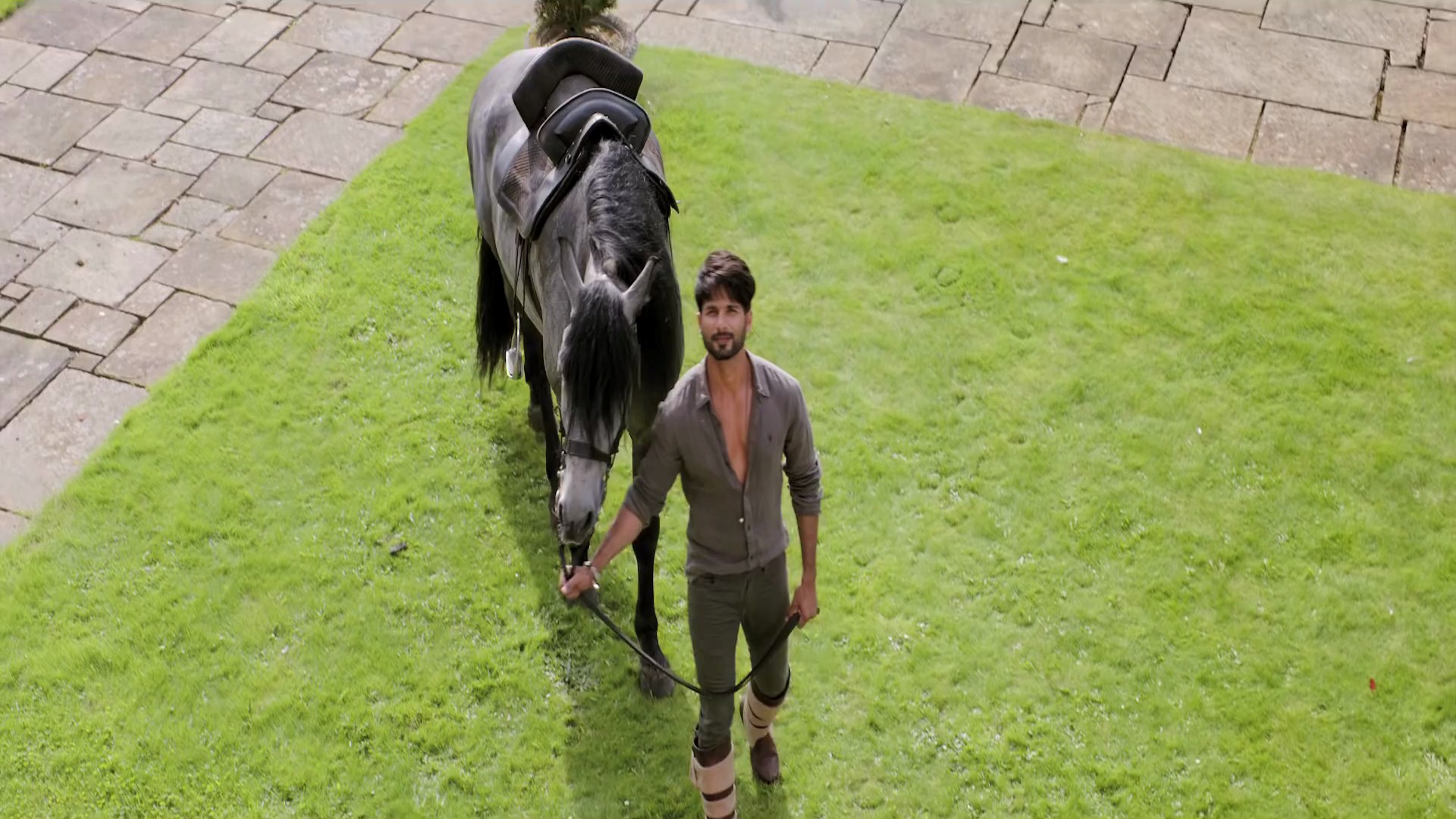 Star Cast Shahid Kapoor With Horse In Shaandaar Hindi - Shahid Kapoor Horse Selfie - HD Wallpaper 
