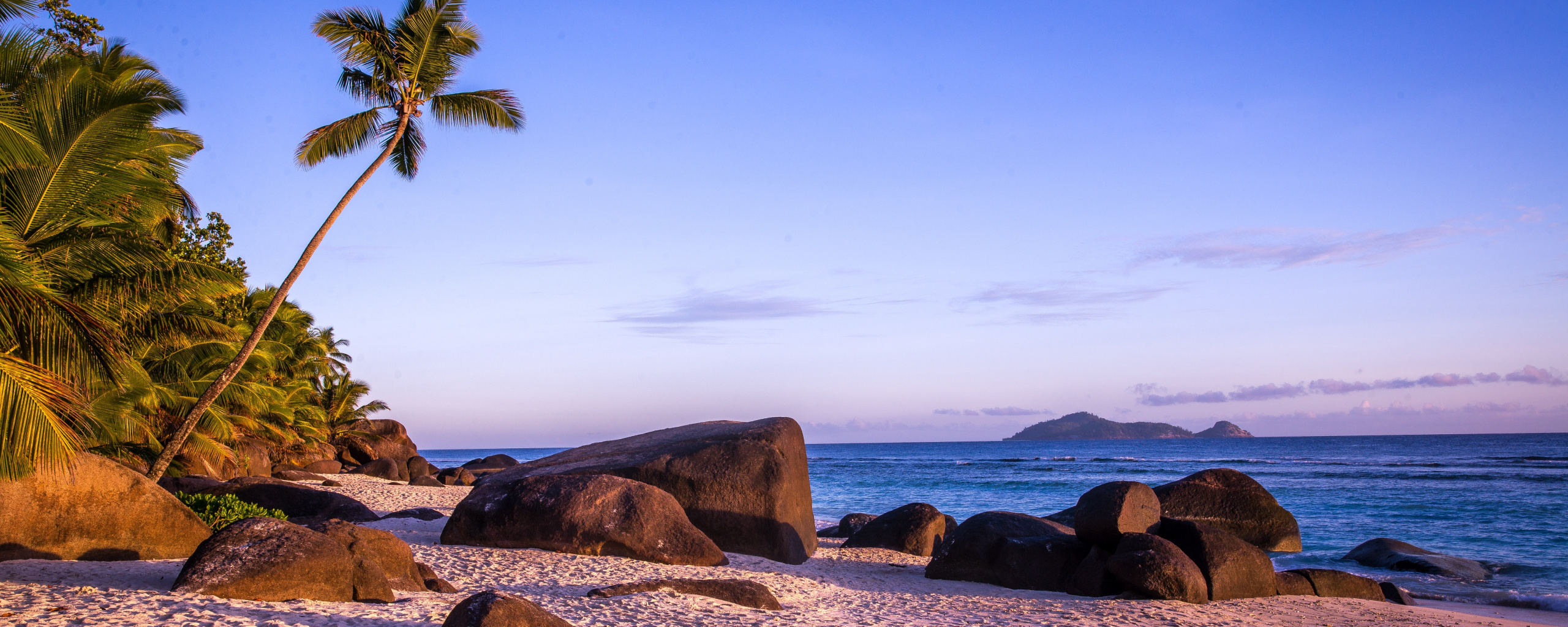 Tablet Computer - HD Wallpaper 