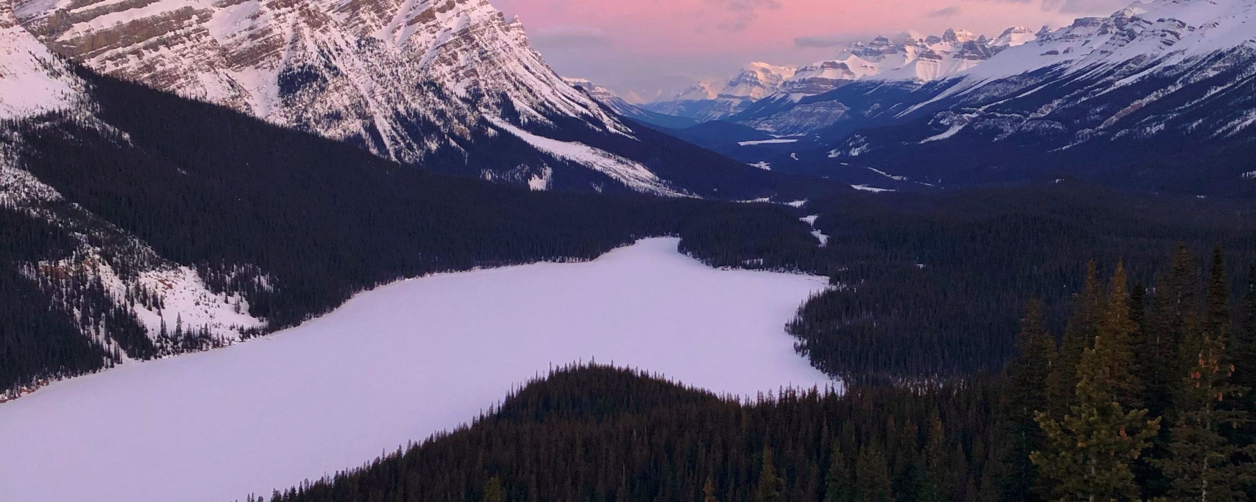 Lake, Sunset, Mountains, Forest, Canada, Wallpaper - Peyto Lake - HD Wallpaper 
