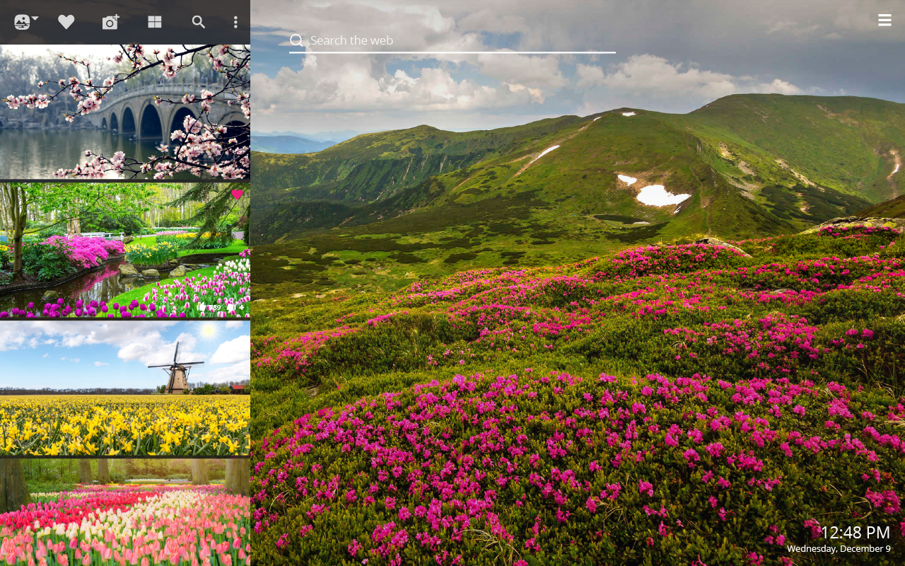 Spring Flowers - HD Wallpaper 