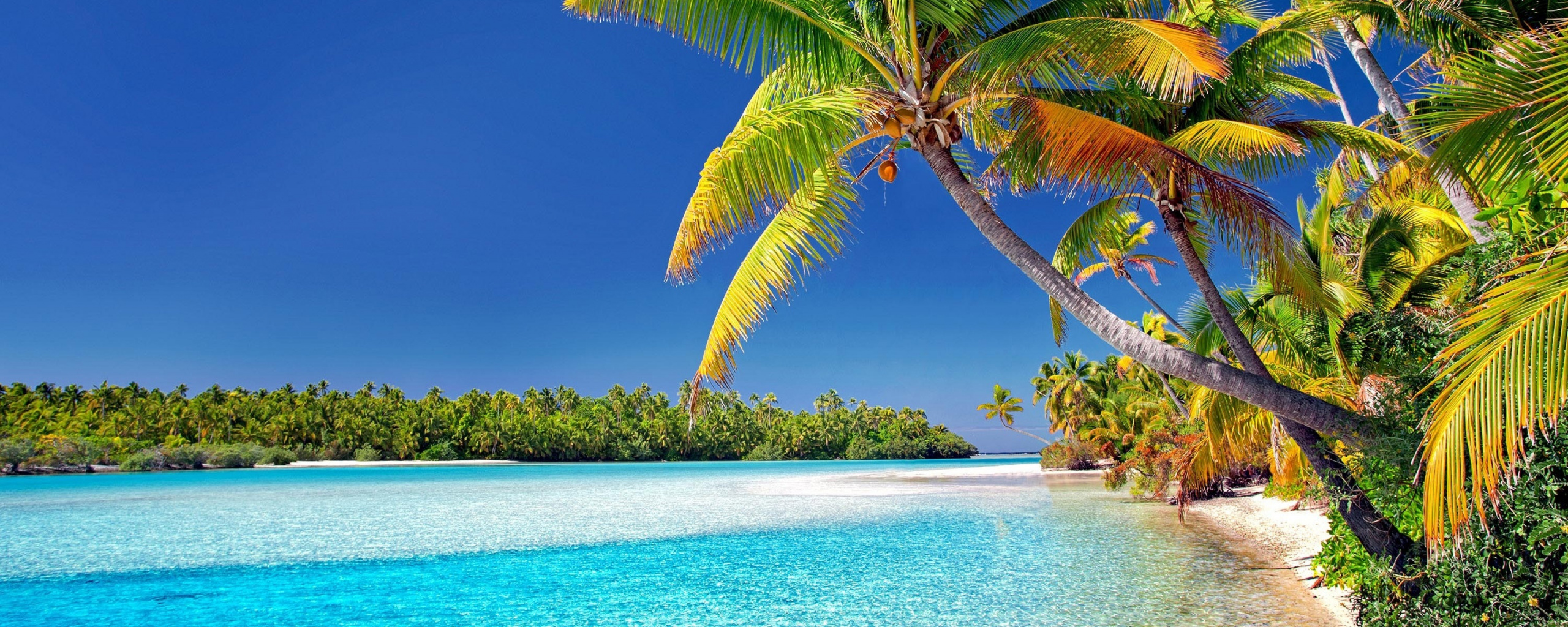 Cook Islands, Beach, Sunny Day, Palm Trees, Wallpaper - Cook Islands - HD Wallpaper 