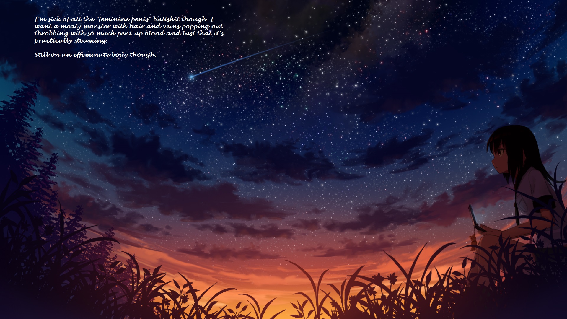 Cdfebffbecafdc Wallpaper Wp400489 - Anime Starry Night Background - HD Wallpaper 