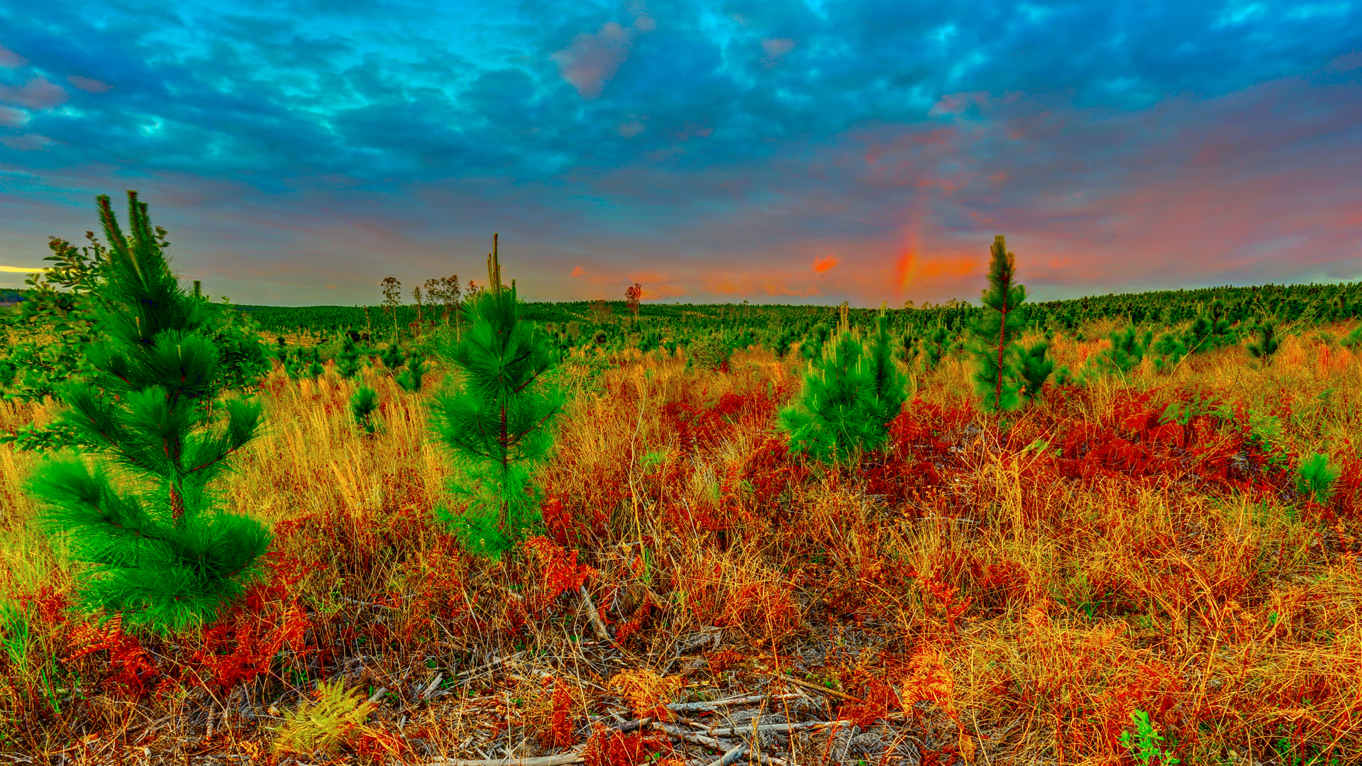 The Storm By Sbyrnes - Tundra Bioma La Estepa - HD Wallpaper 