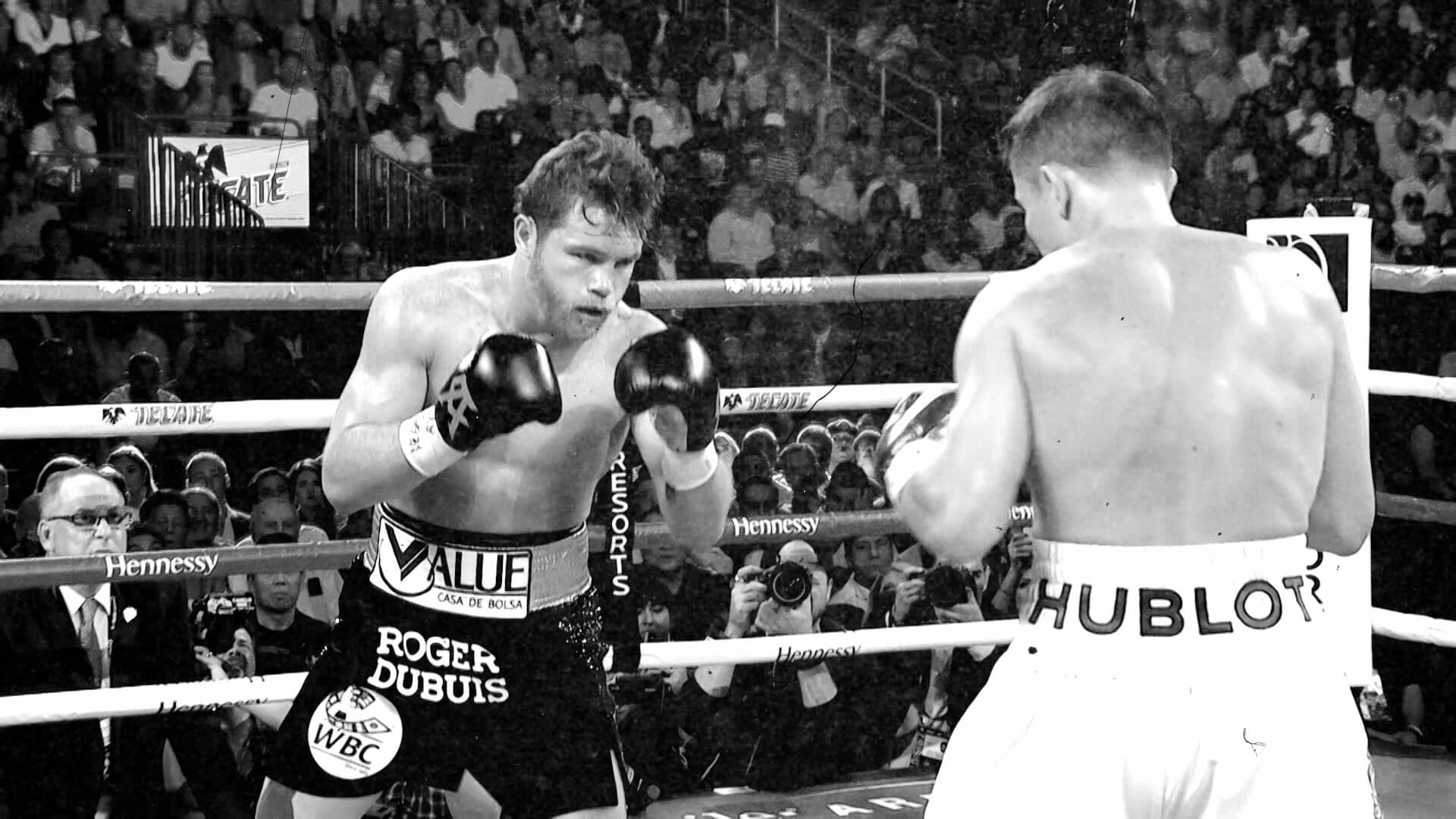 Professional Boxing - HD Wallpaper 