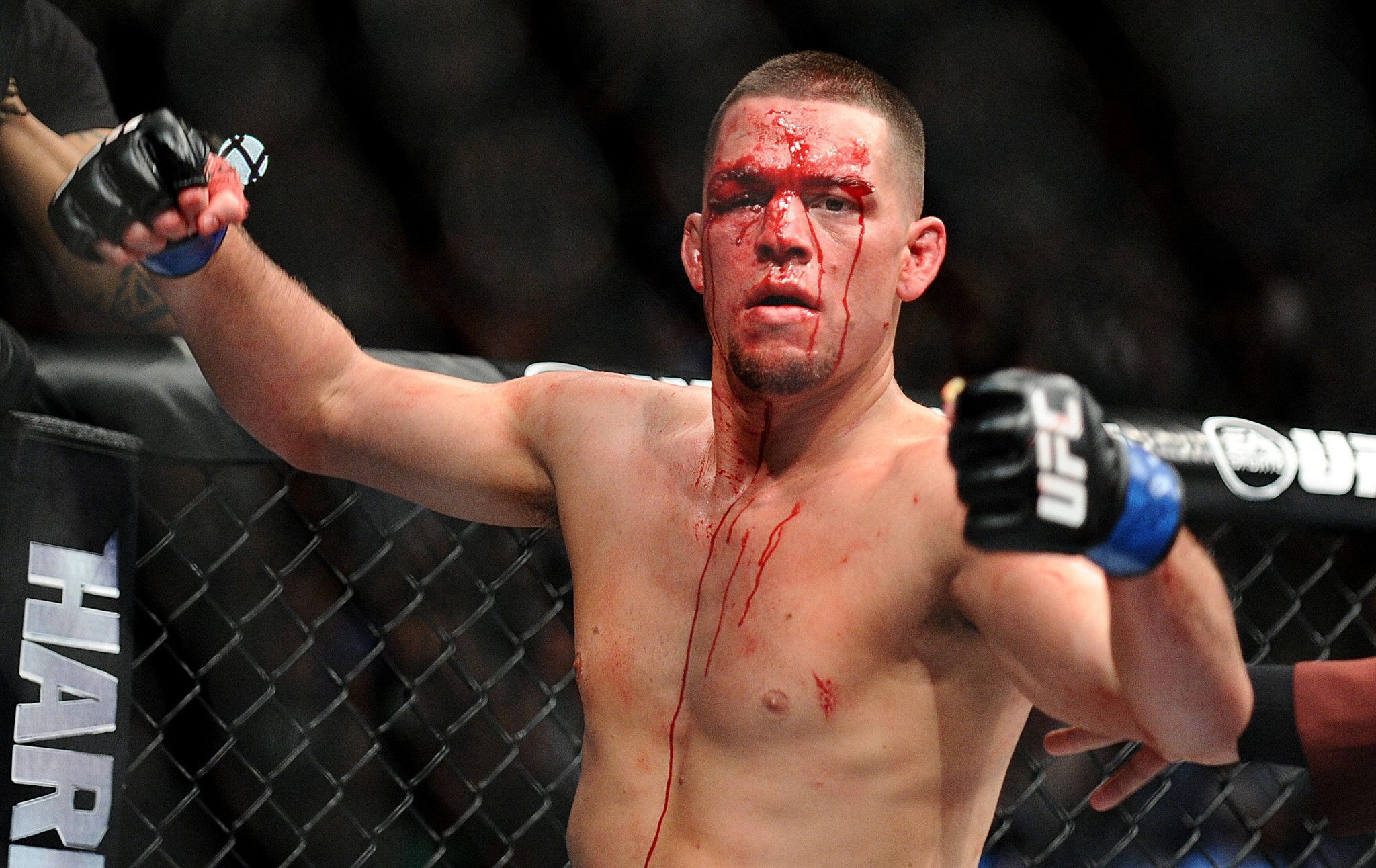 Nate Diaz 
 Data Src New Nate Diaz Wallpapers Picture - Nate Diaz Wallpaper Hd - HD Wallpaper 