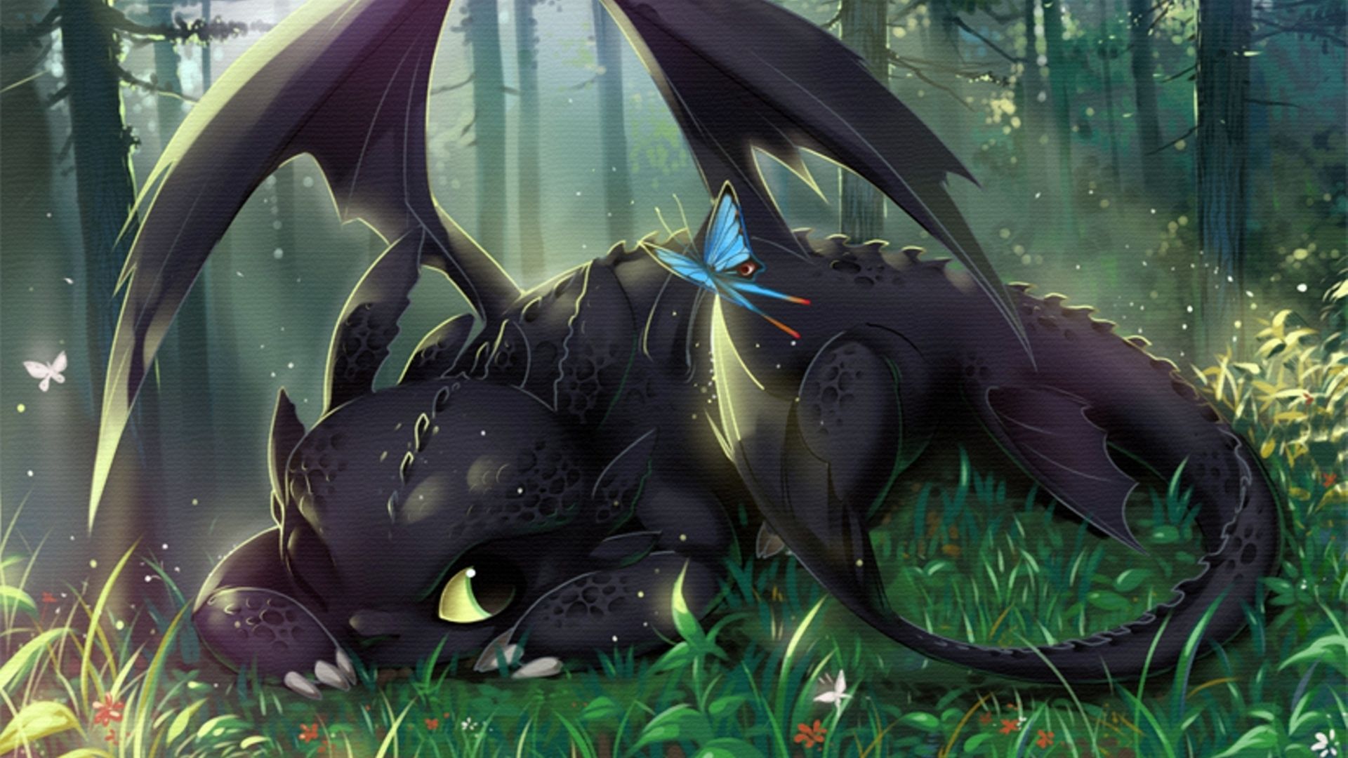 Train Your Dragon - HD Wallpaper 