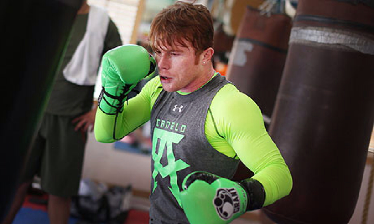 Grant Boxing Gloves Green Canelo - HD Wallpaper 