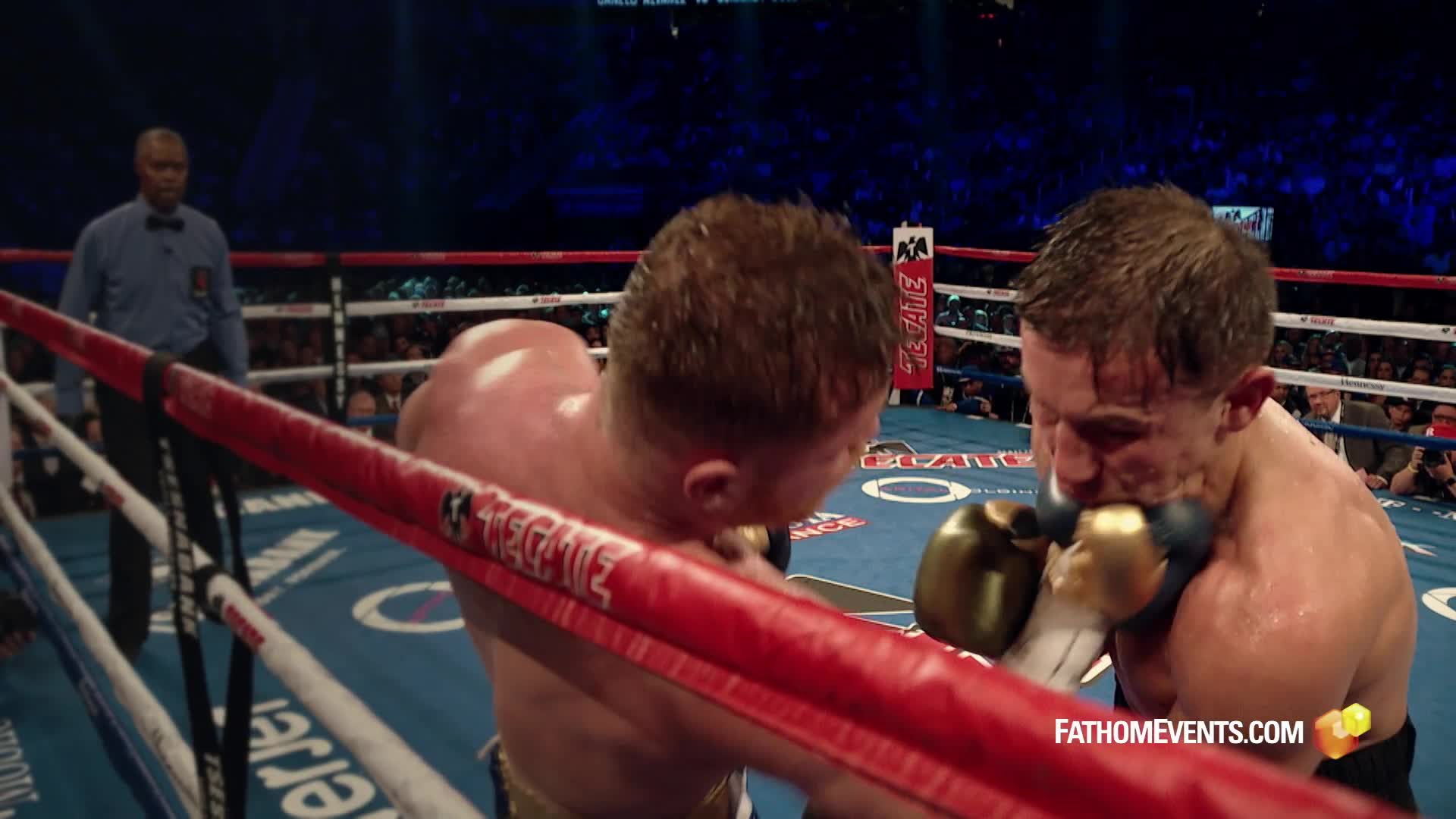 Professional Boxing - HD Wallpaper 