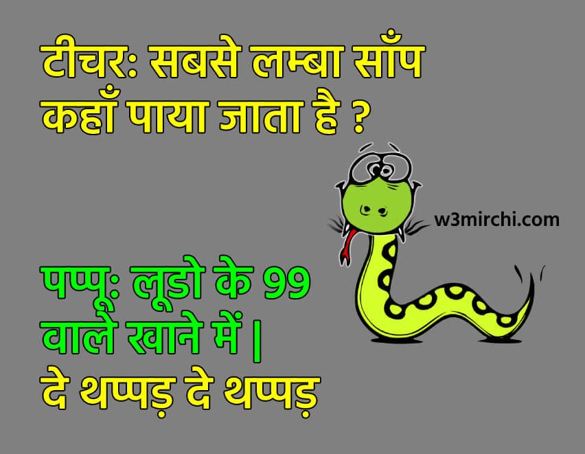 Invertebrate - HD Wallpaper 