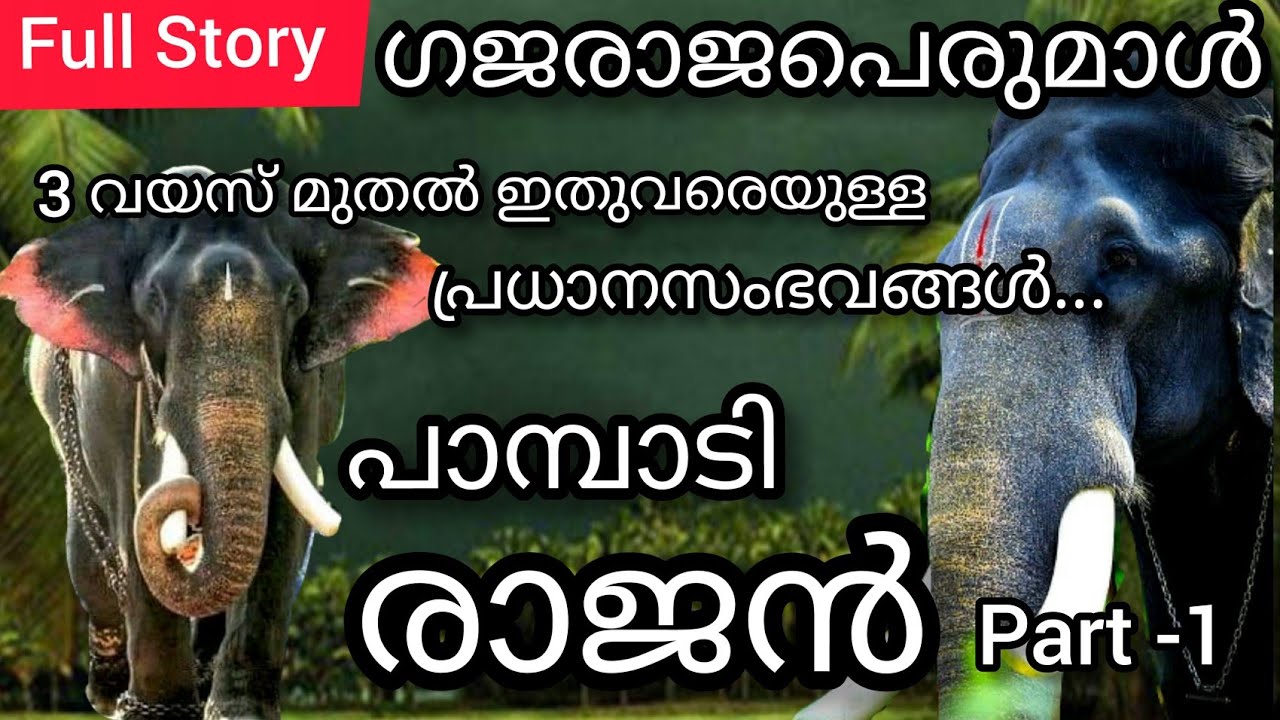 Indian Elephant - HD Wallpaper 