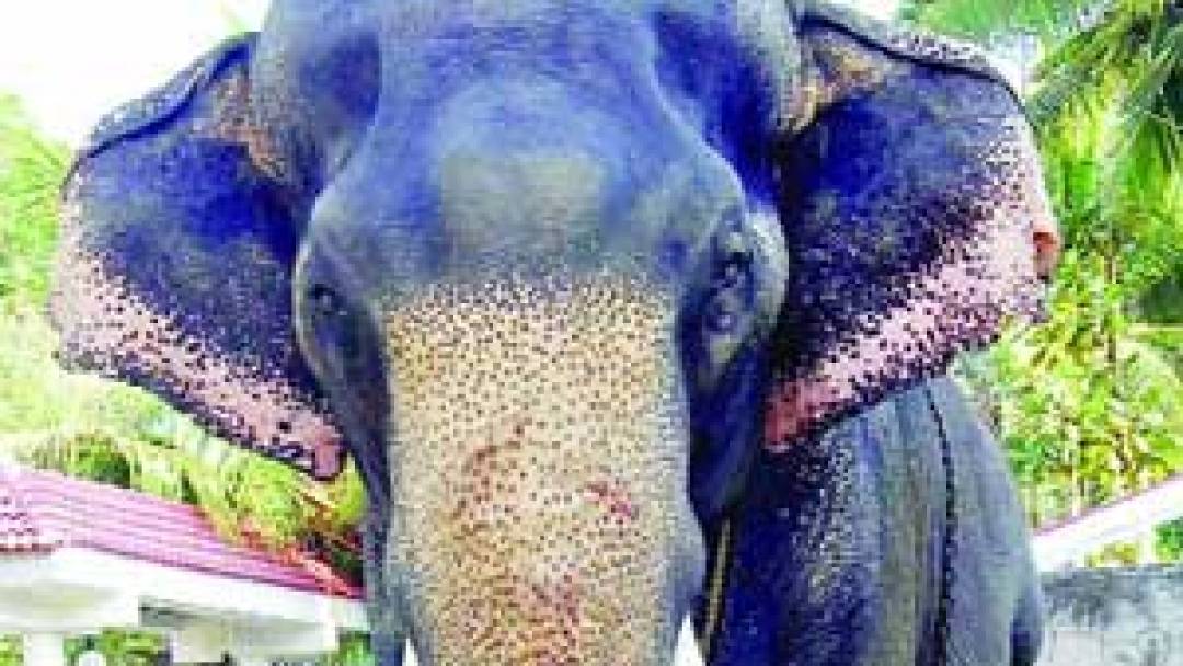 Magalamkunu Karnan - HD Wallpaper 