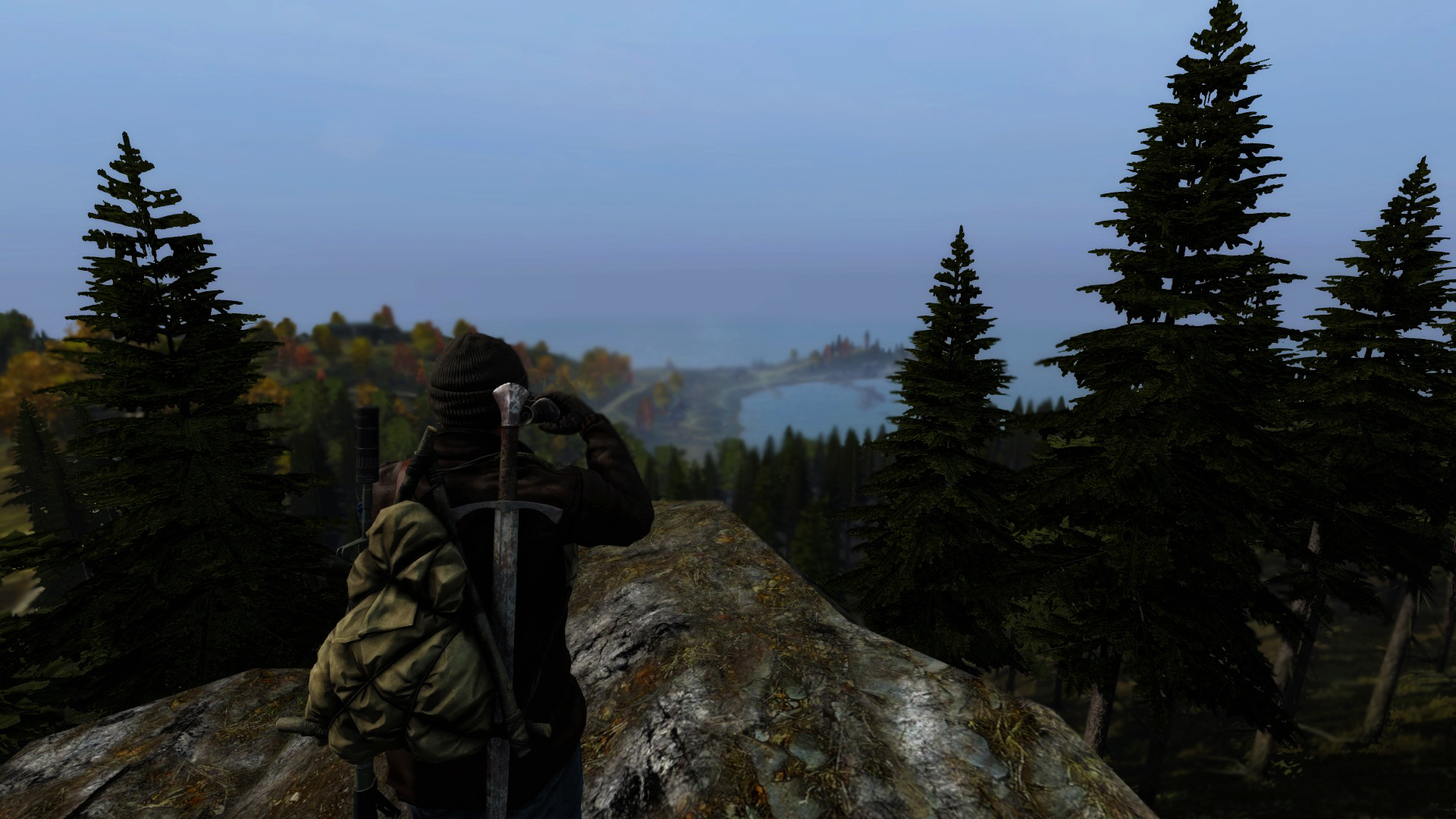 Spruce-fir Forest - HD Wallpaper 