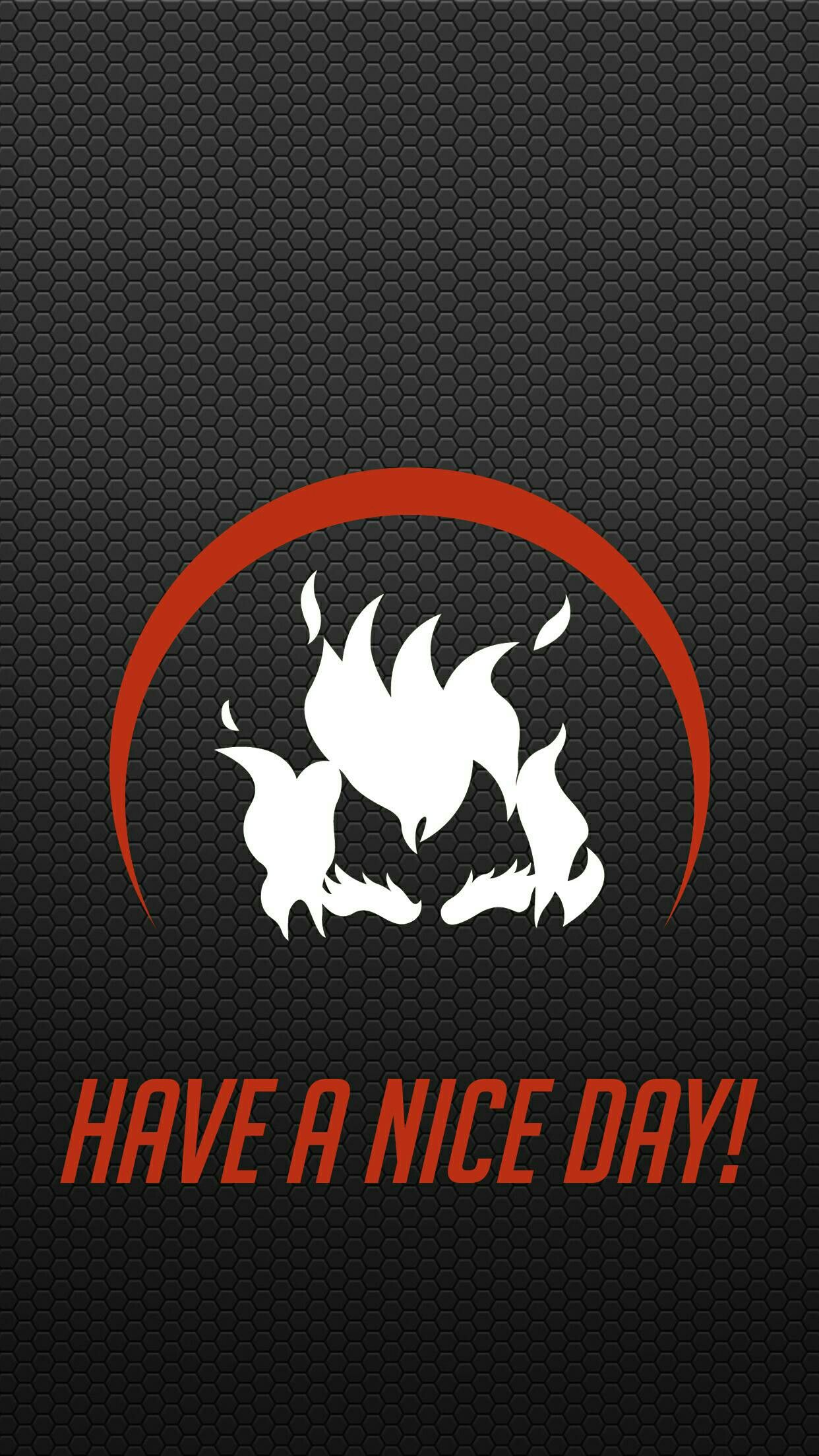 Elk - HD Wallpaper 