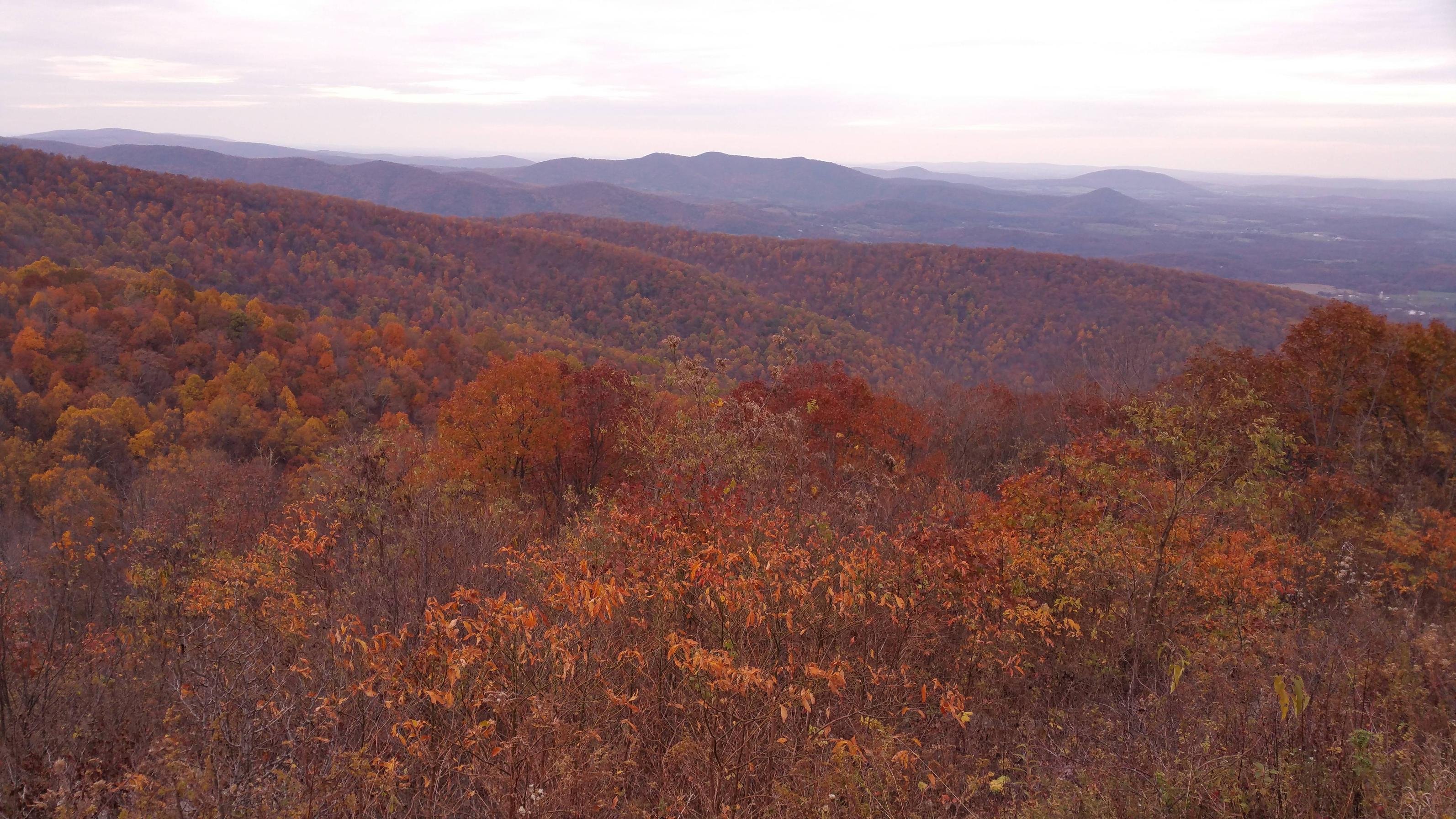 Autumn - HD Wallpaper 