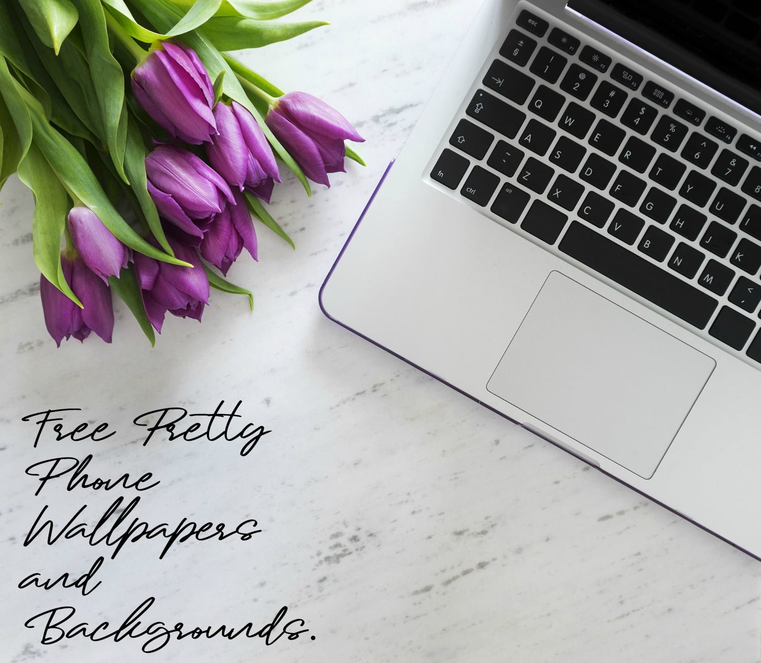 Pretty Phone Wallpapers And Backgrounds - HD Wallpaper 