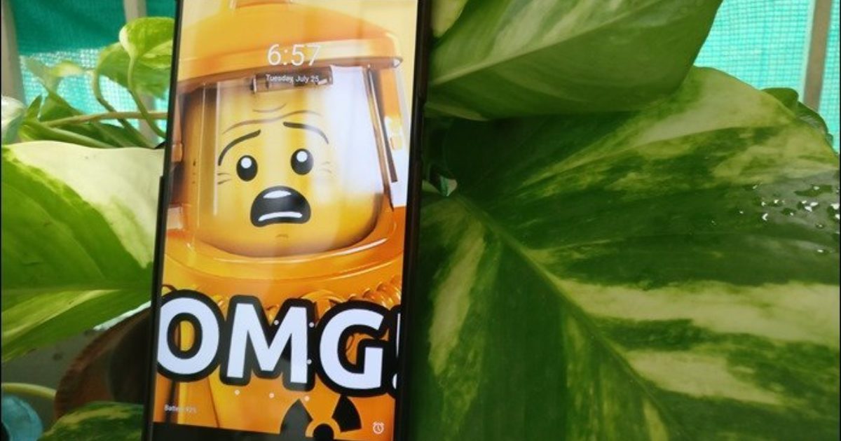 Citrus - HD Wallpaper 