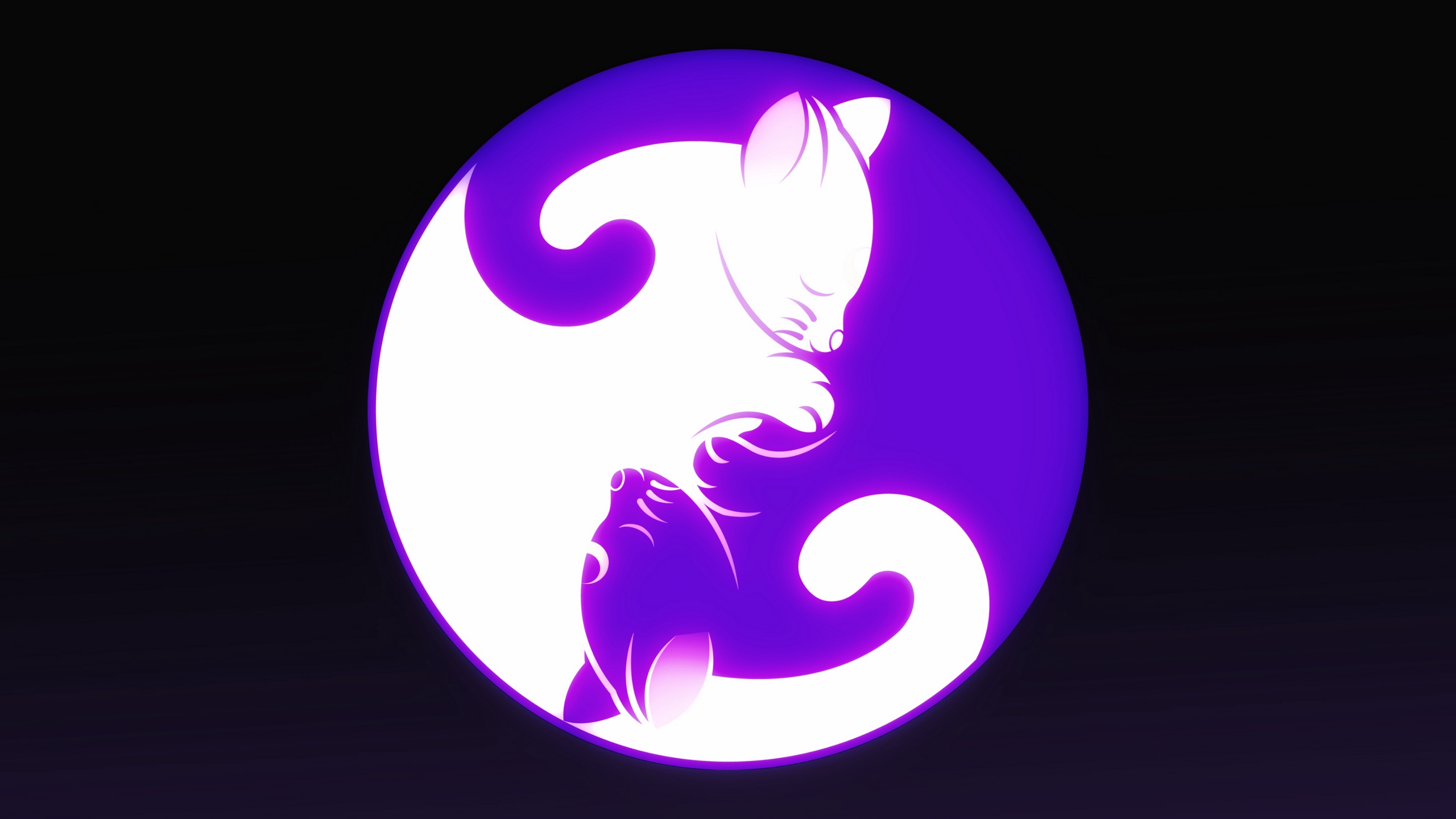 Wallpaper Yin And Yang, Yin Yang, Cat, Harmony - Yin Yang - HD Wallpaper 