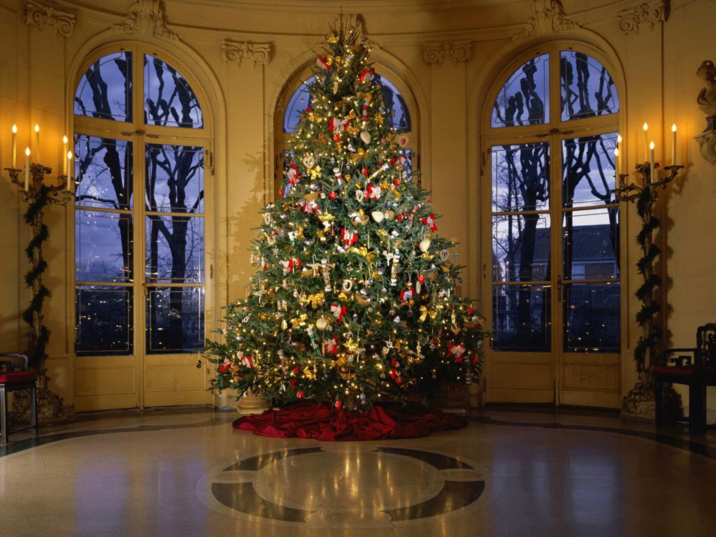 Big Indoor Christmas Tree - HD Wallpaper 