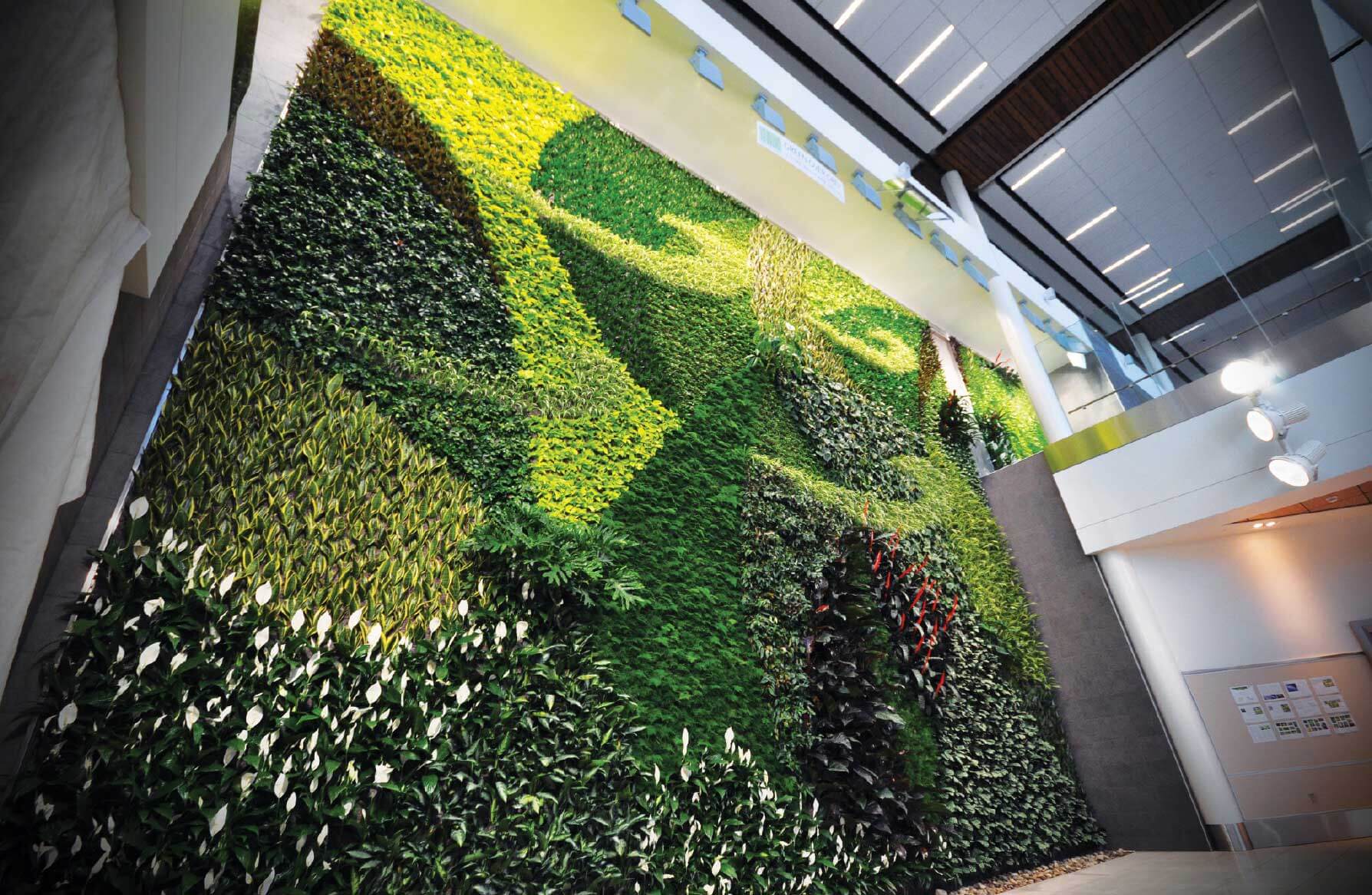 Home Indoor Green Walls - HD Wallpaper 