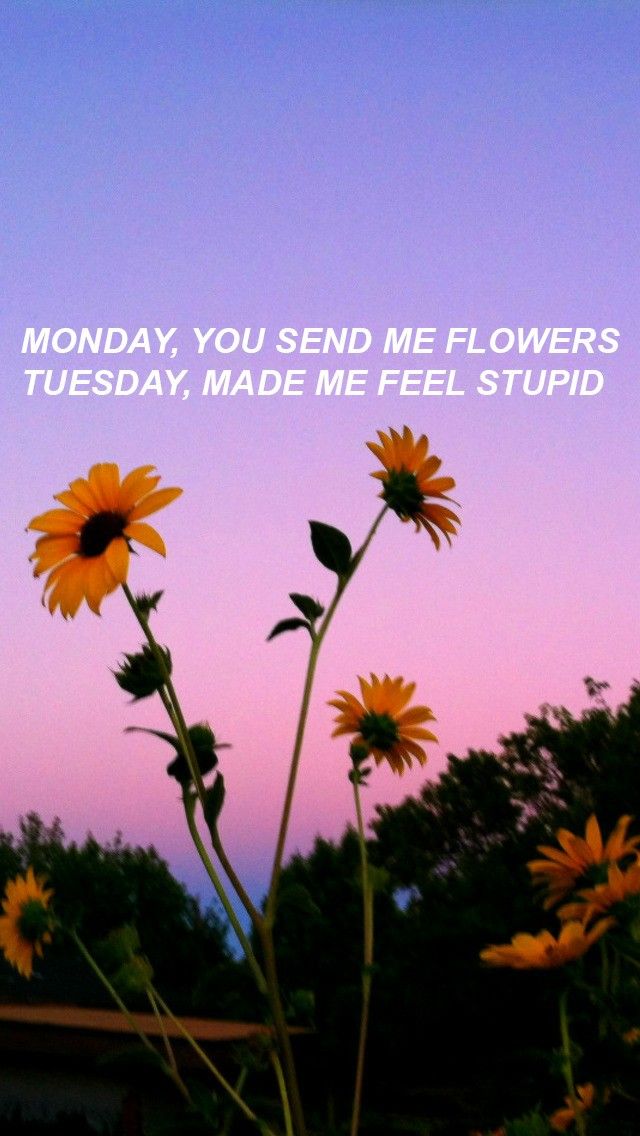 Trouble Cage The Elephant Quotes 640x1136 Wallpaper teahub.io