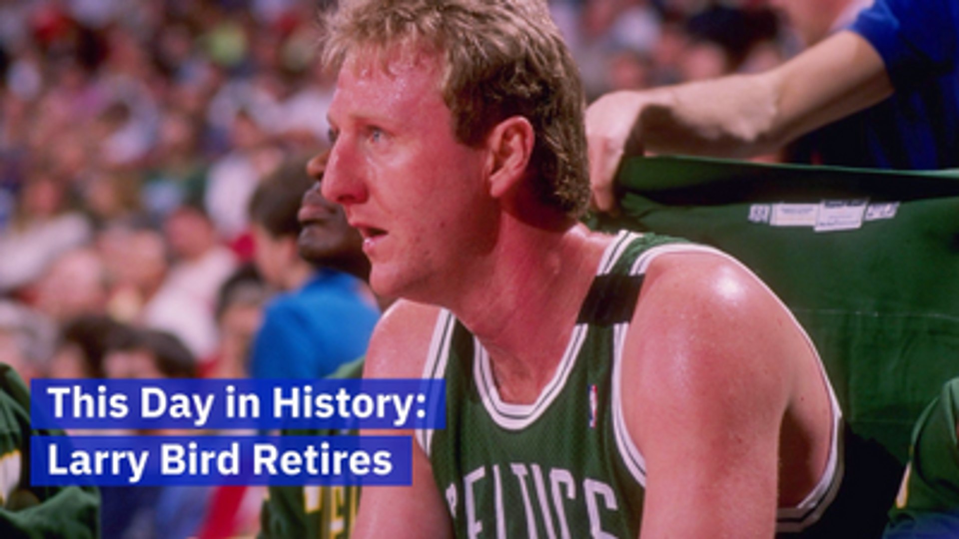 Larry Bird 88 - HD Wallpaper 