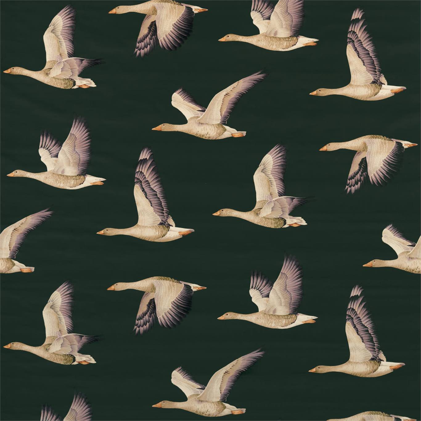 Sanderson Elysian Geese Fabric - HD Wallpaper 