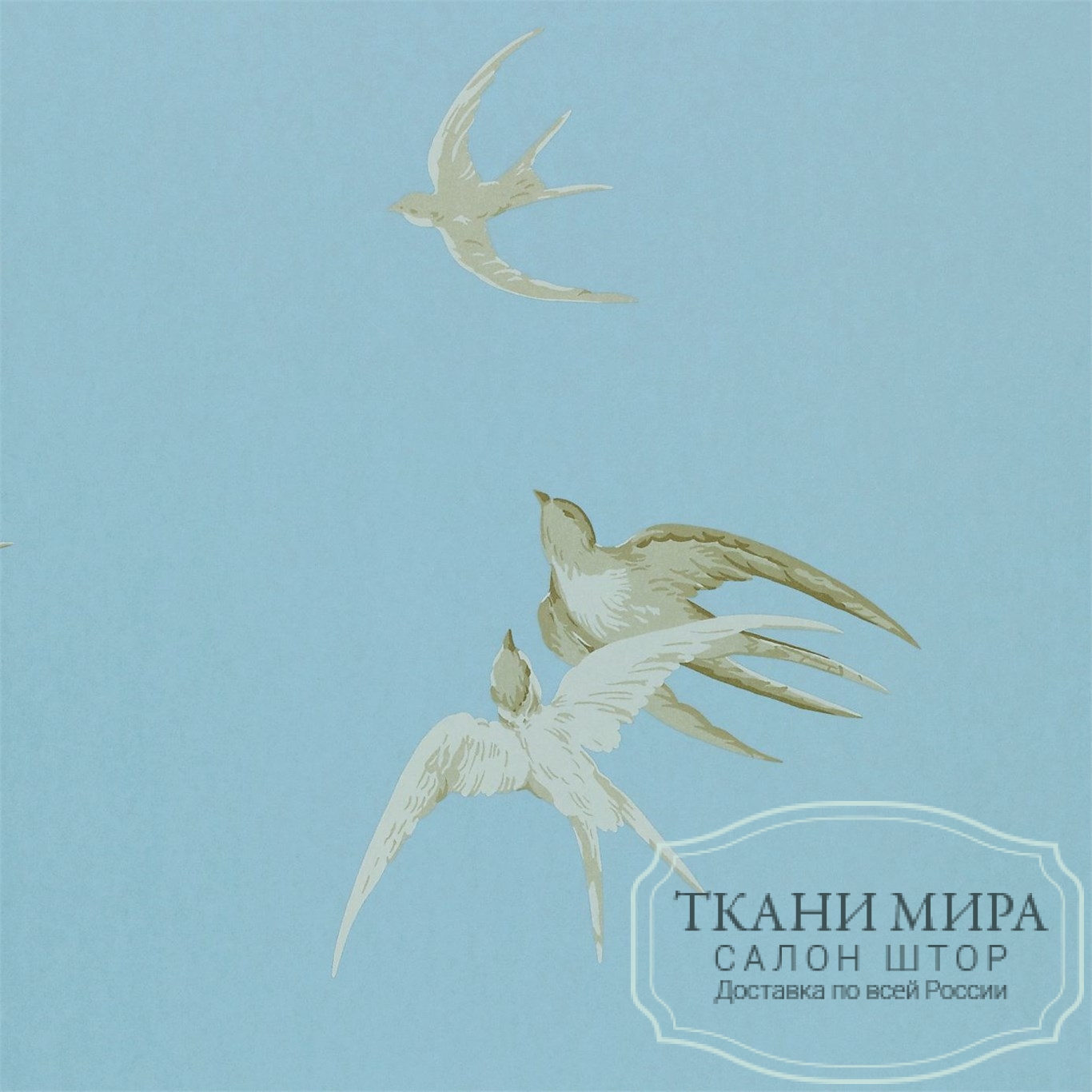 European Swallow - HD Wallpaper 