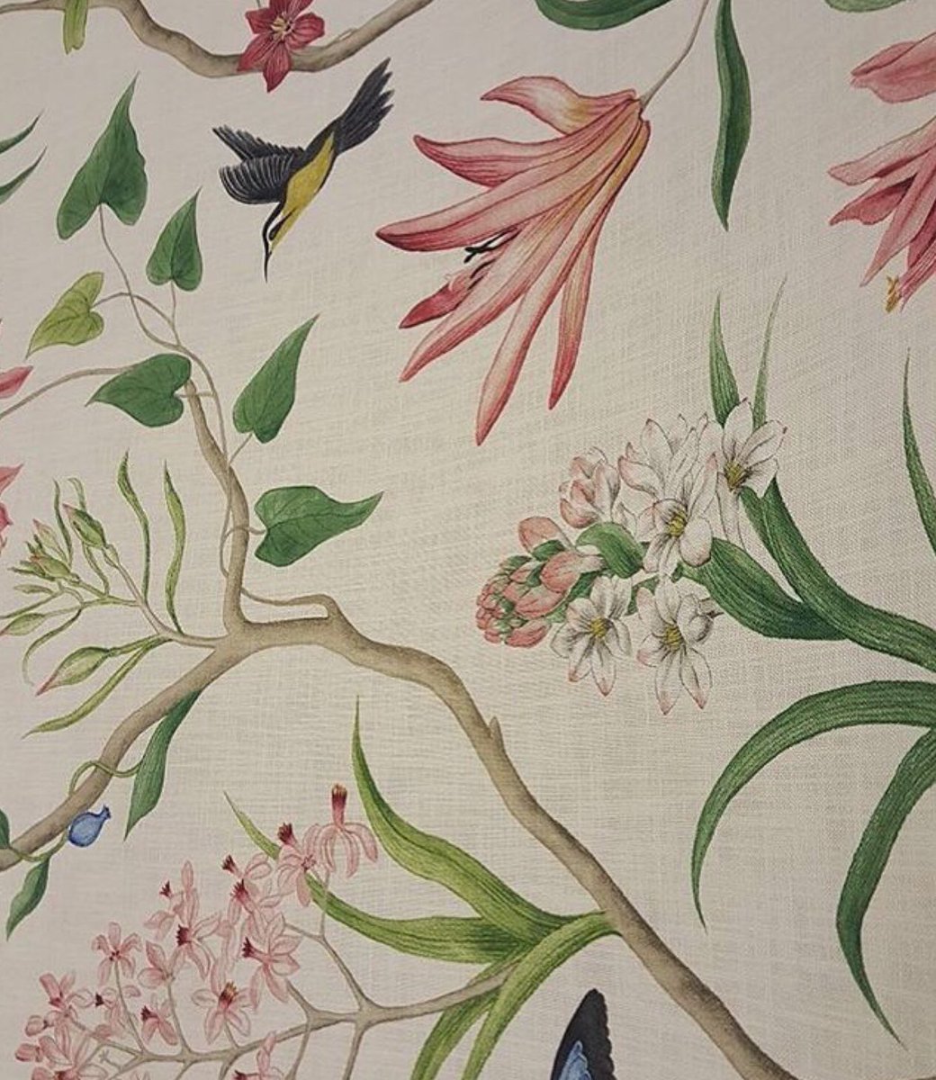 Honeysuckle - HD Wallpaper 