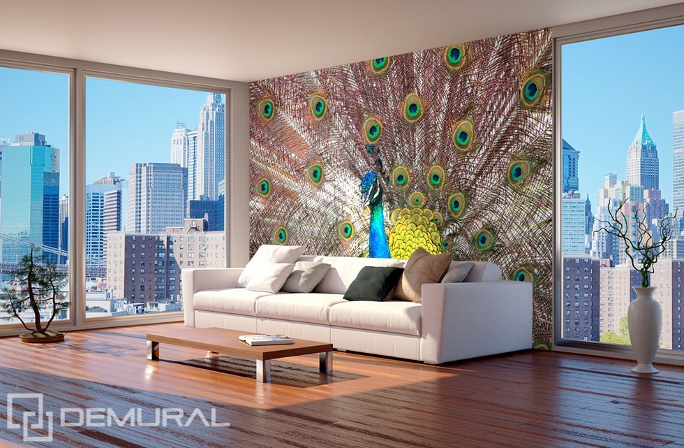 Proud Peacock Animals Wallpaper Mural Photo Wallpapers - Wallpaper - HD Wallpaper 