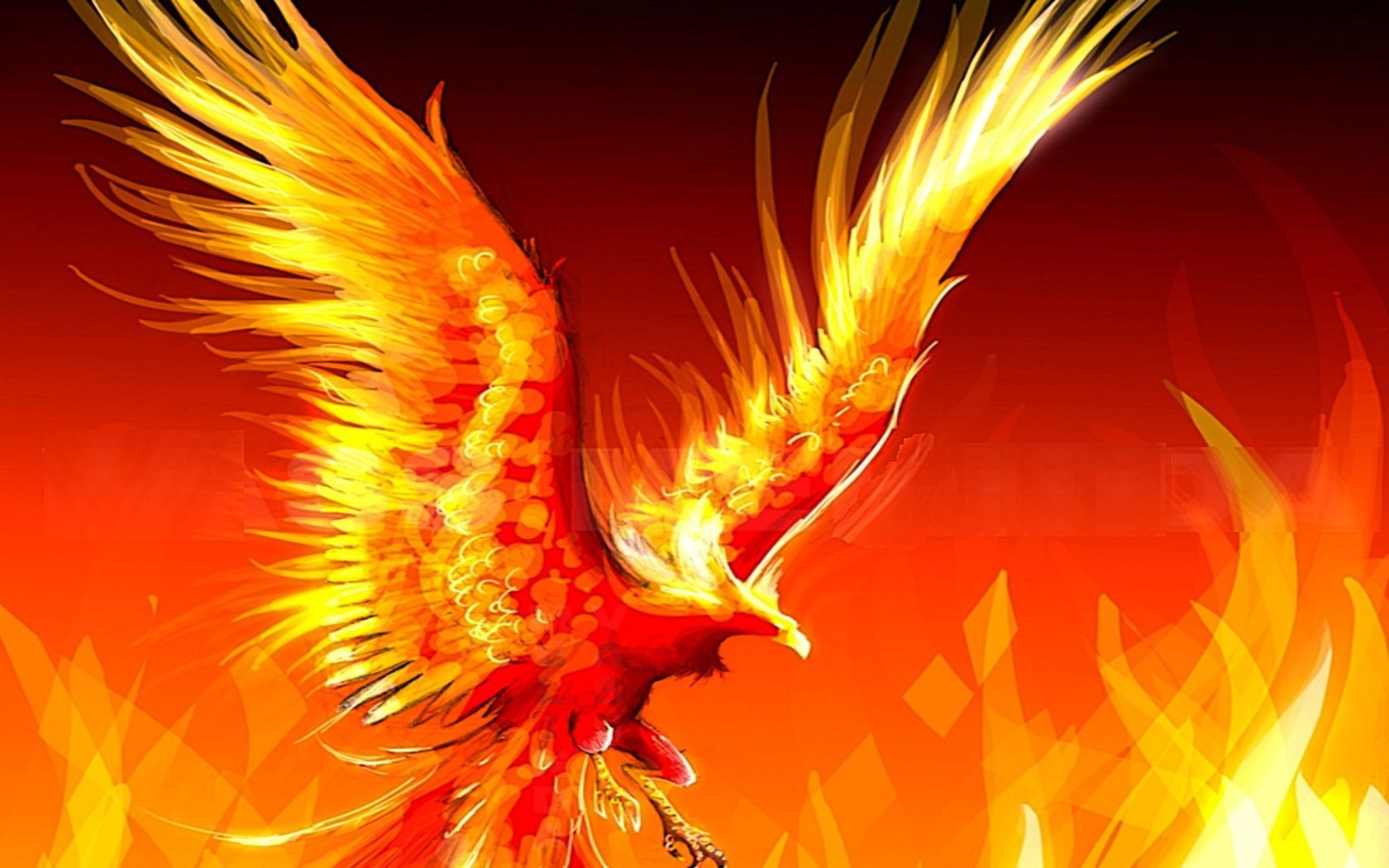 Phoenix Birds - 1680x1050 Wallpaper 