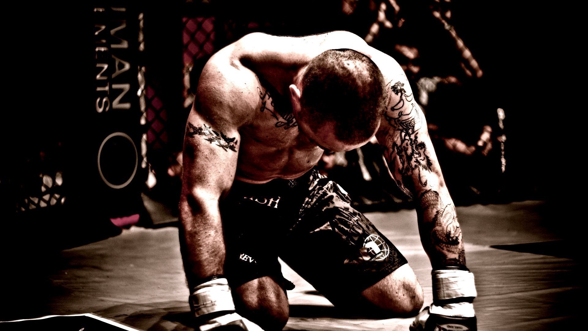 Wallpaper Mma, Mixed Martial Arts, Fighter, Tattoos - Mma Wallpaper Hd - 1920x1080 Wallpaper Wallpaper Mma, Mixed Martial Arts, Fighter, Tattoos - Mma Wallpaper Hd - 1920x1080 Wallpaper