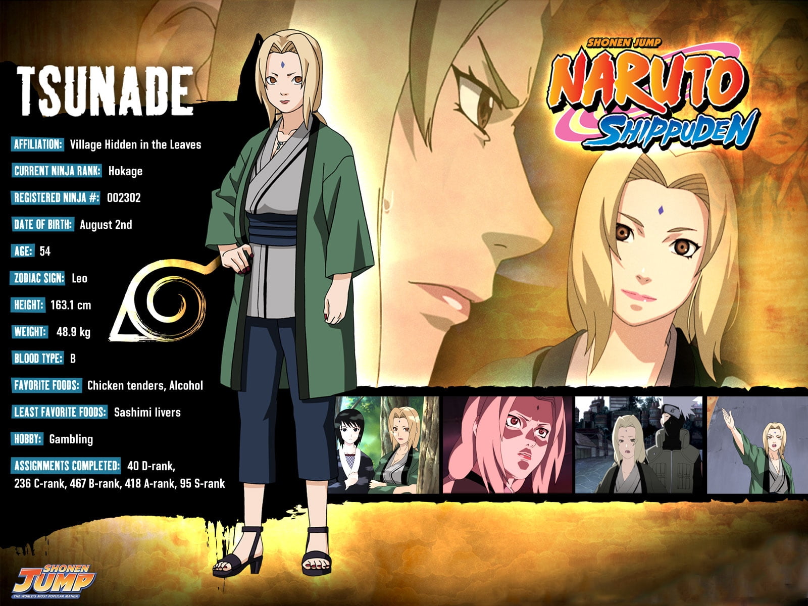 Naruto Shippuden Profile - HD Wallpaper 